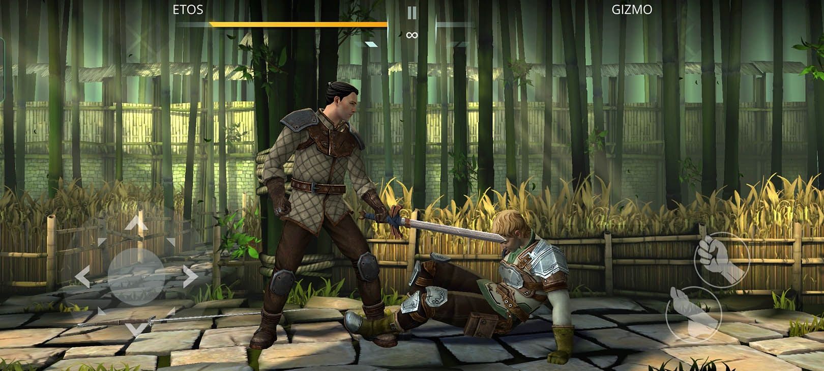 Shadow Fight Arena