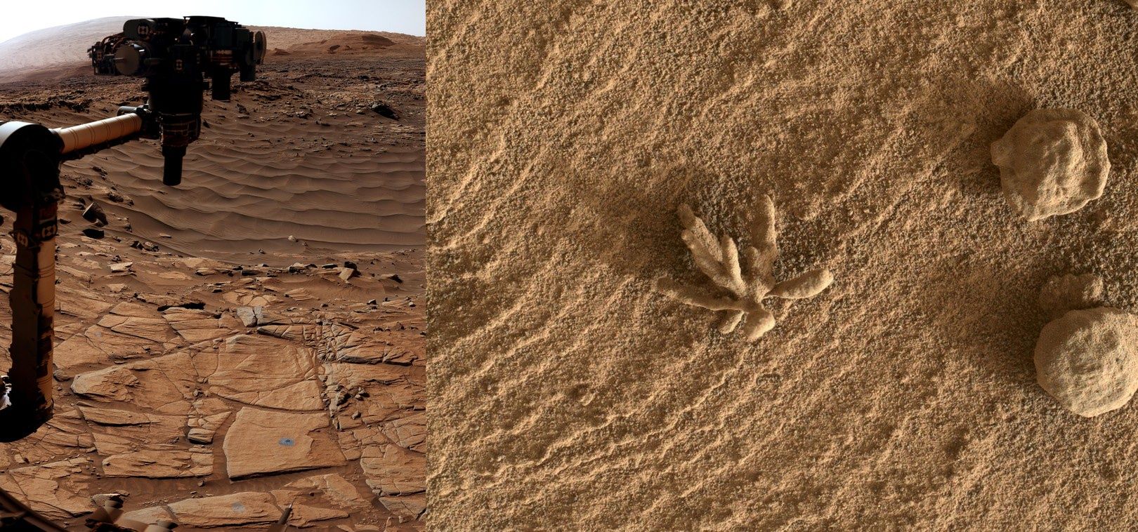 Curiosity 2022