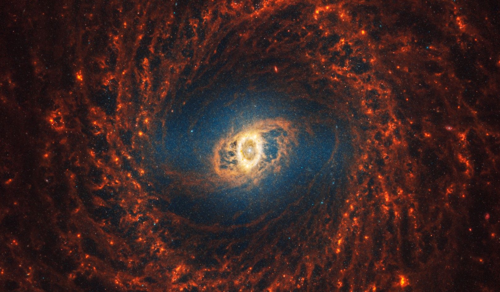 Galaktyka NGC 3351
