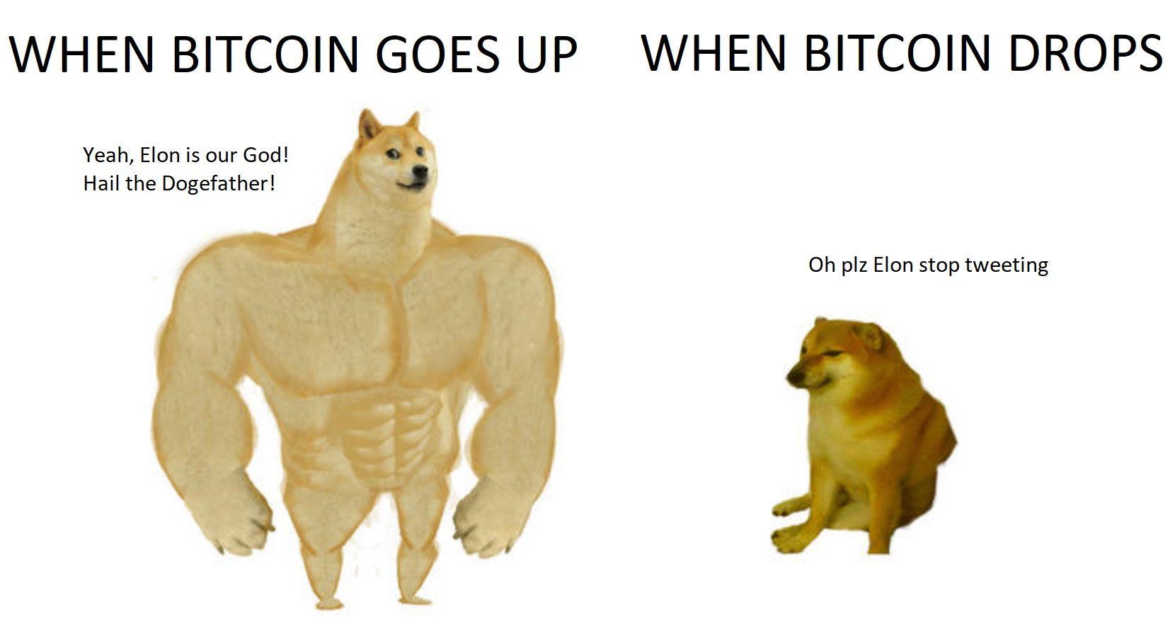 Bitcoin memy