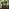 Army of Two: The Devil's Cartel - recenzja