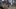 Kingdom Come: Deliverance z datą premiery