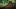 Eastshade – recenzja. Wolnym krokiem w krainę czarów
