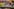 Crusader Kings - The Board Game – recenzja. Radosny handel żywym towarem w duchu wzajemnej współpracy