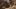 Nowa generacja pręży muskuły. Unreal Engine 5 robi wrażenie