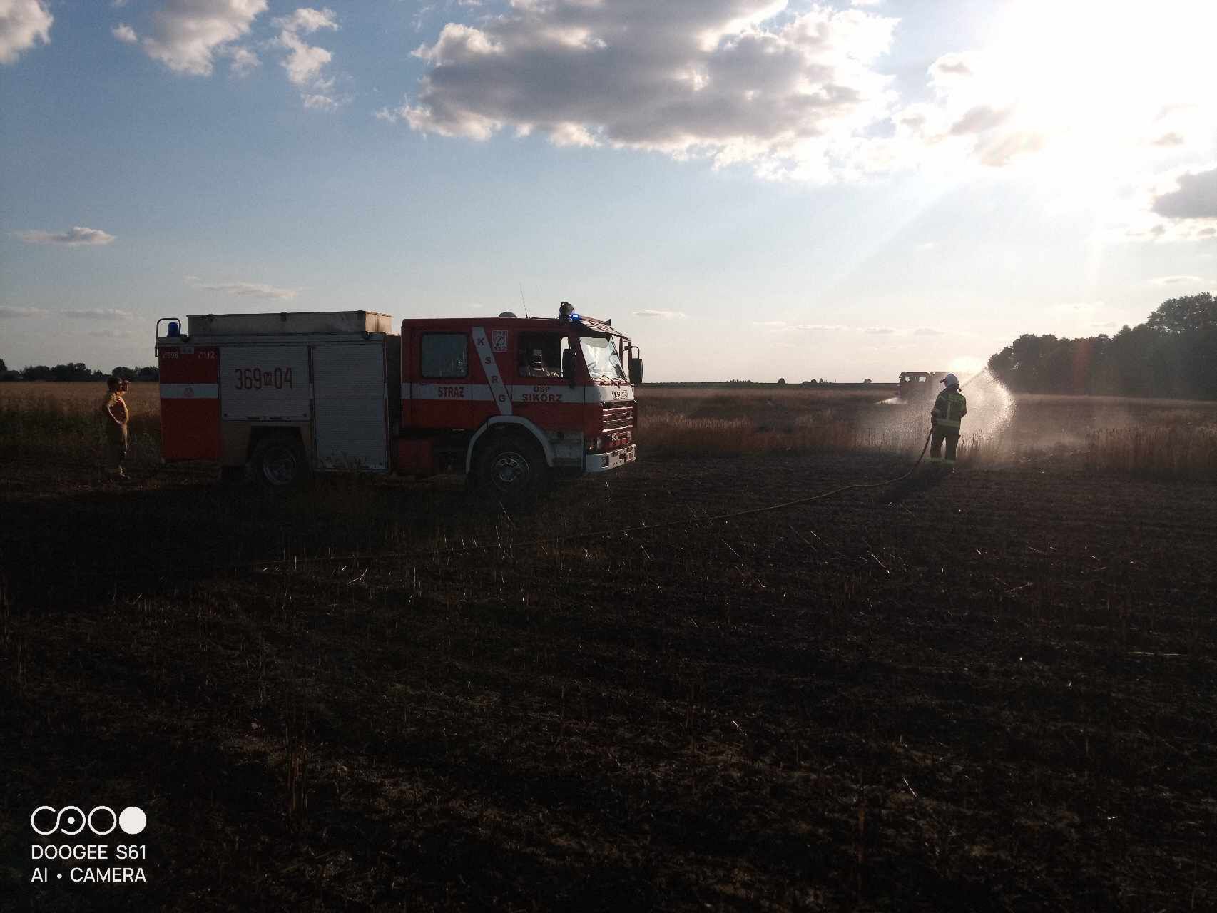 Pożar zboża na pniu w Kobiernikach