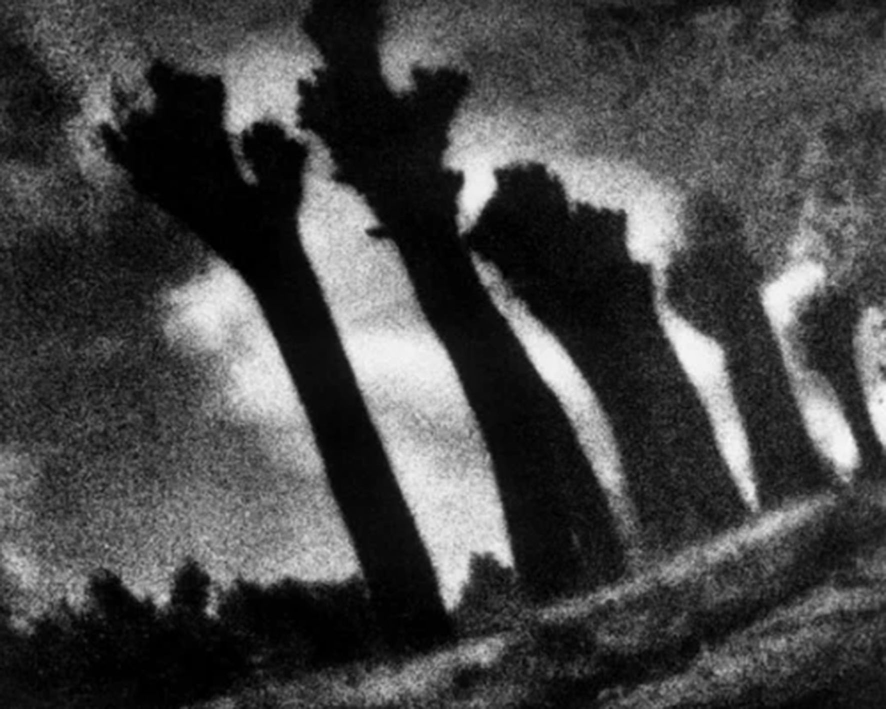 V Płockie Dni Fotografii 