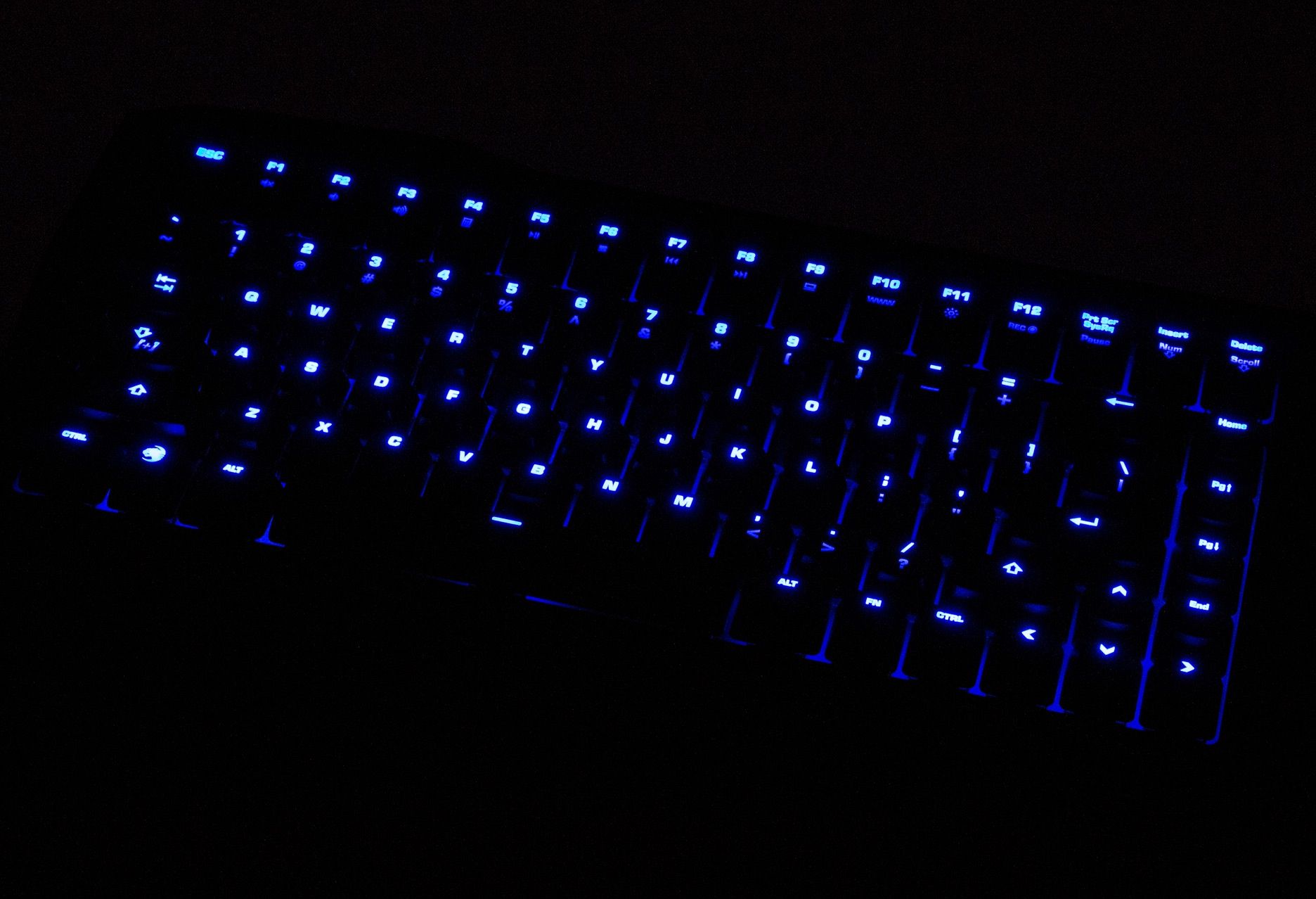 Roccat Sova - niebieskie podświetlenie