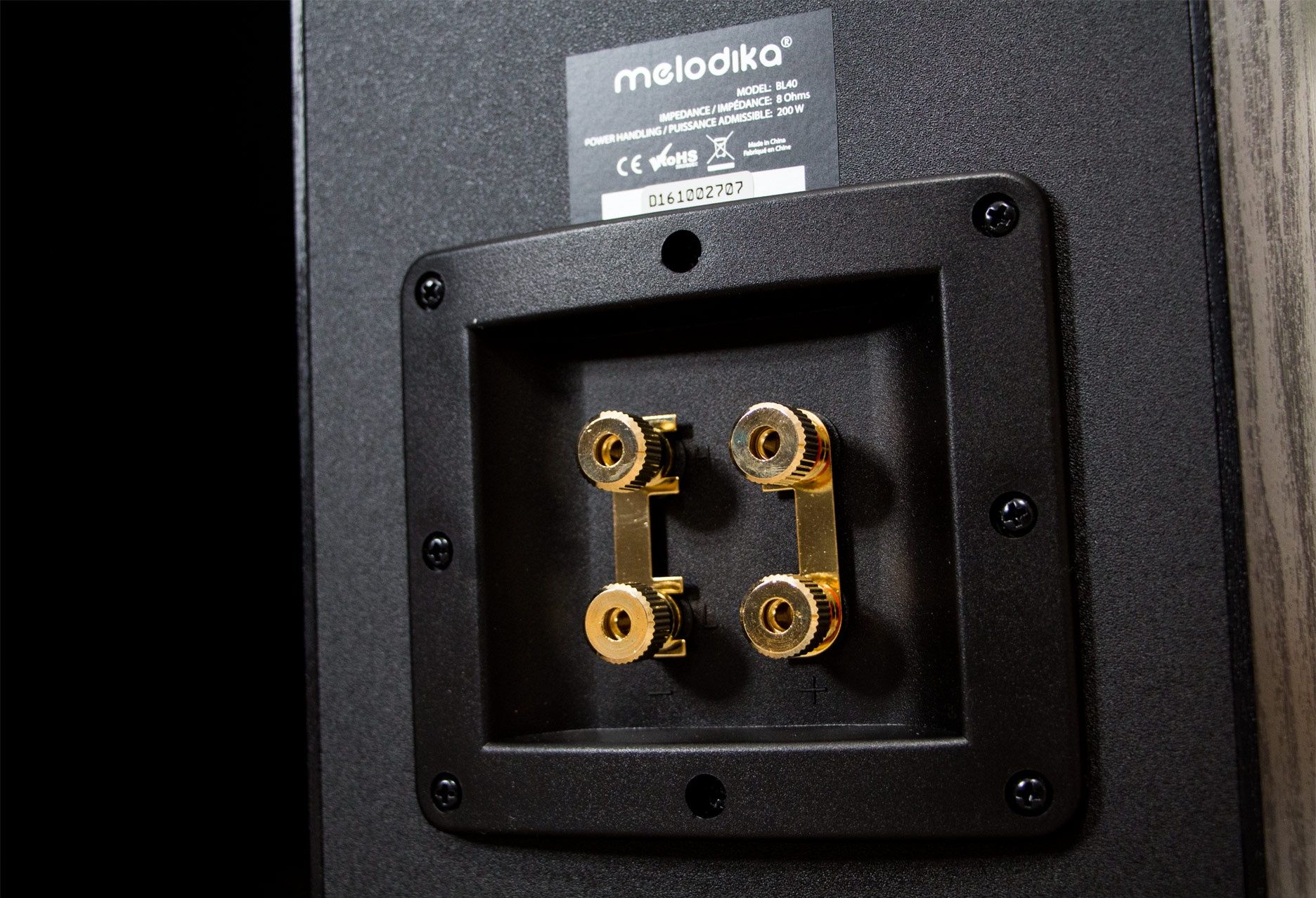 Melodika BL40 MKII wyjścia na przewody