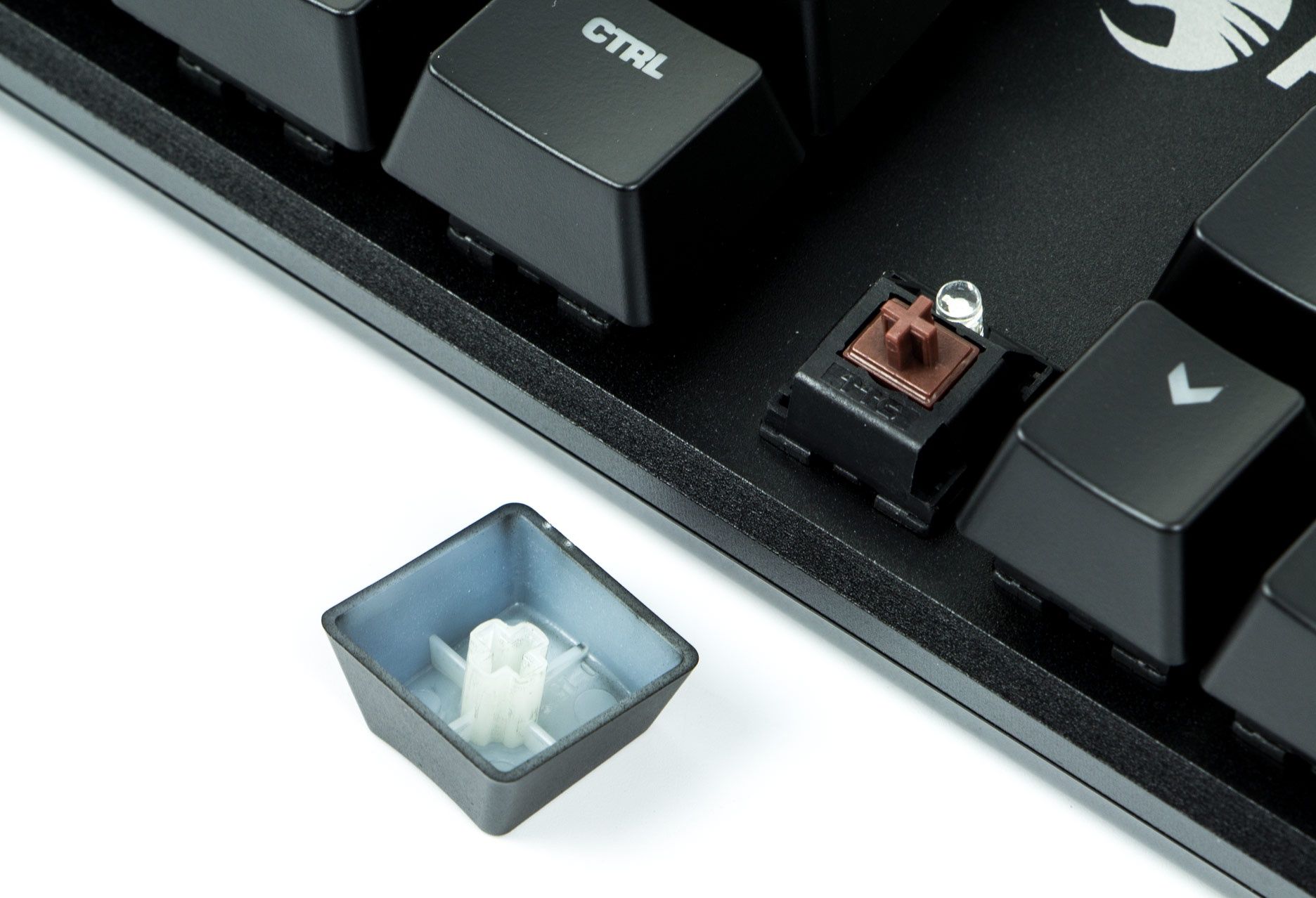ROCCAT Suora - brązowe mikroprzełączniki TTC