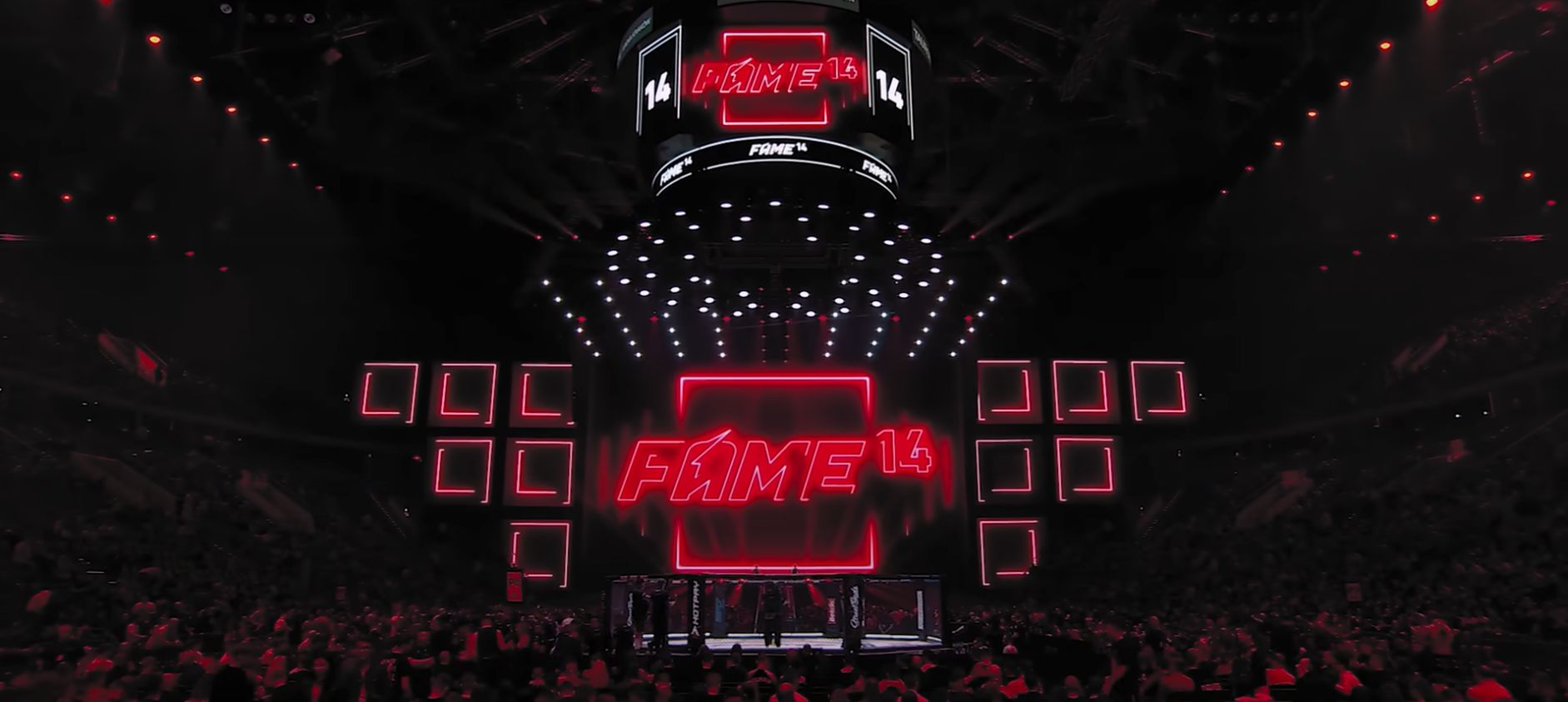 Fame MMA 14