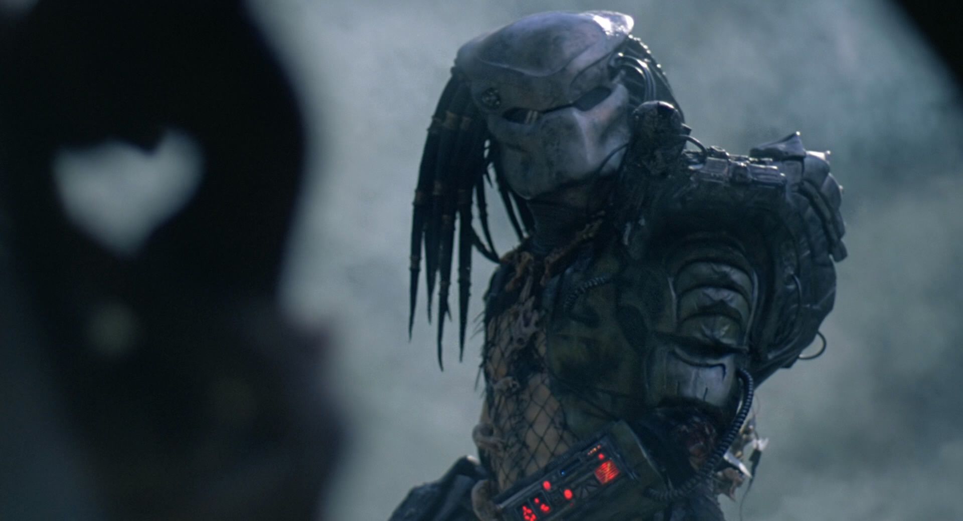 Pierwszy Predator