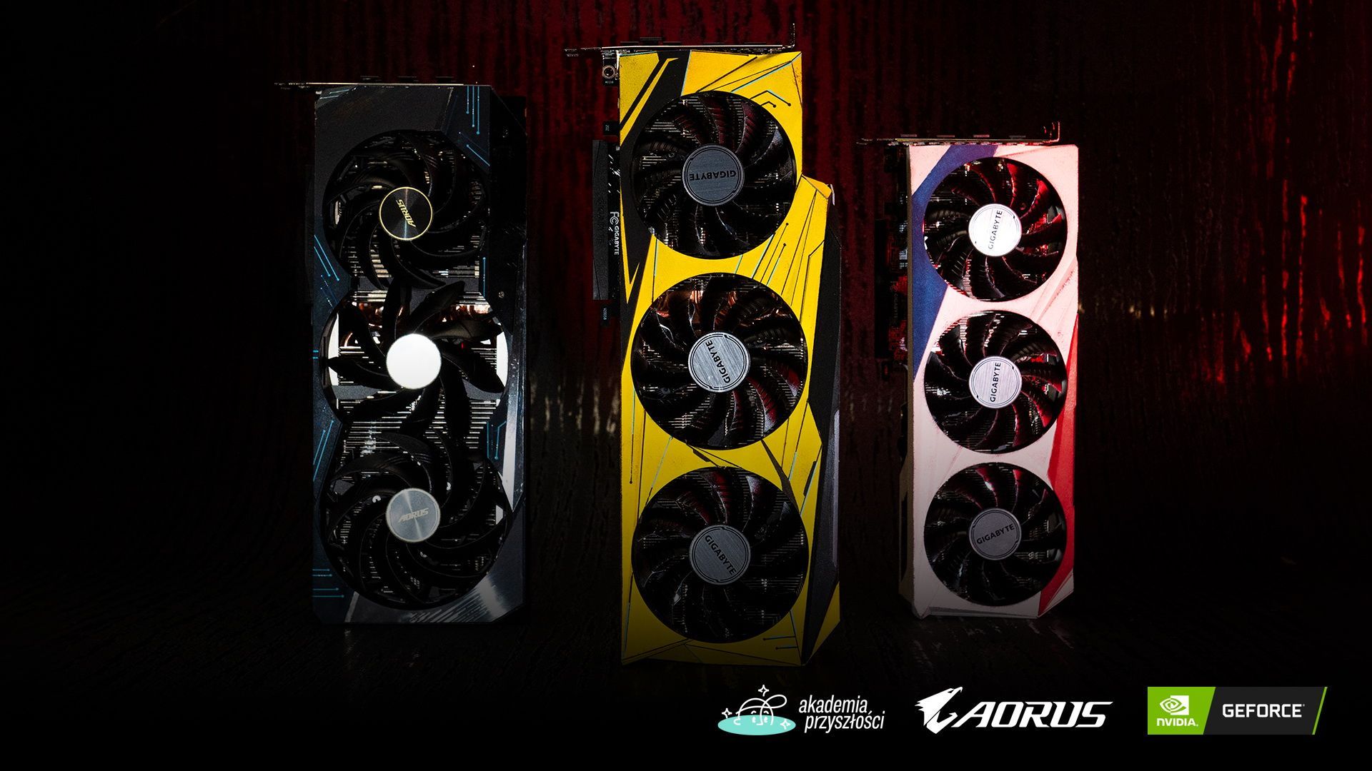 Nvidia Charity Stream - karty graficzne