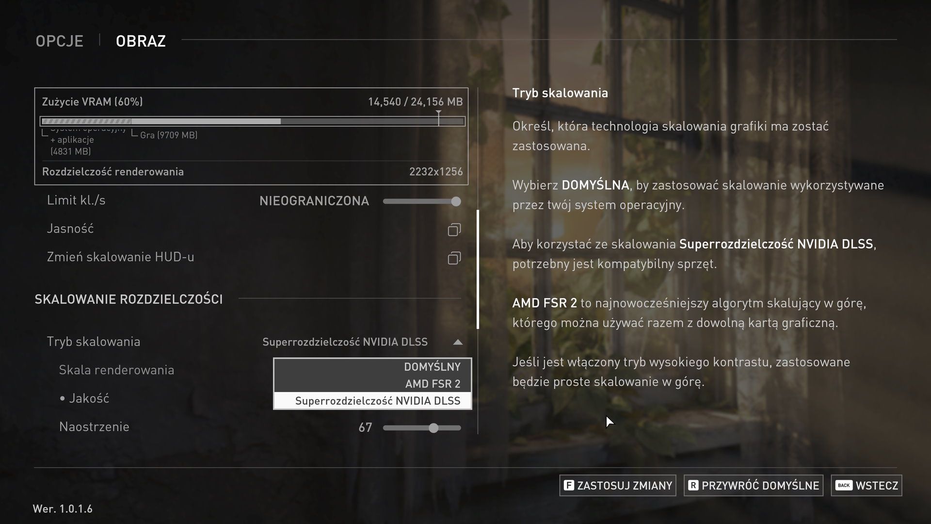 The Last of Us (PC) - ustawienia 2
