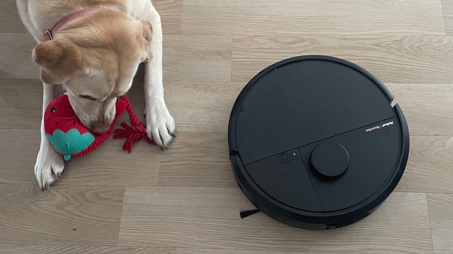 iRobot Roomba Combo Plus 505 recenzja