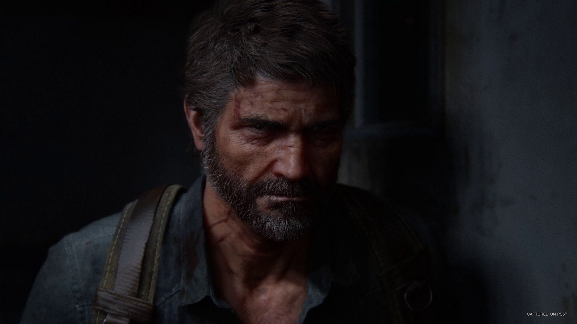 The Last of Us Part II - Joel