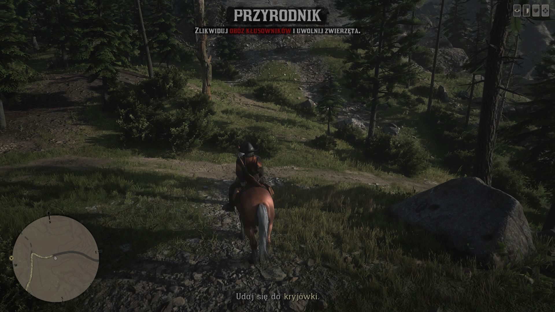 Red Dead Redmeption 2 - misja przerodnika