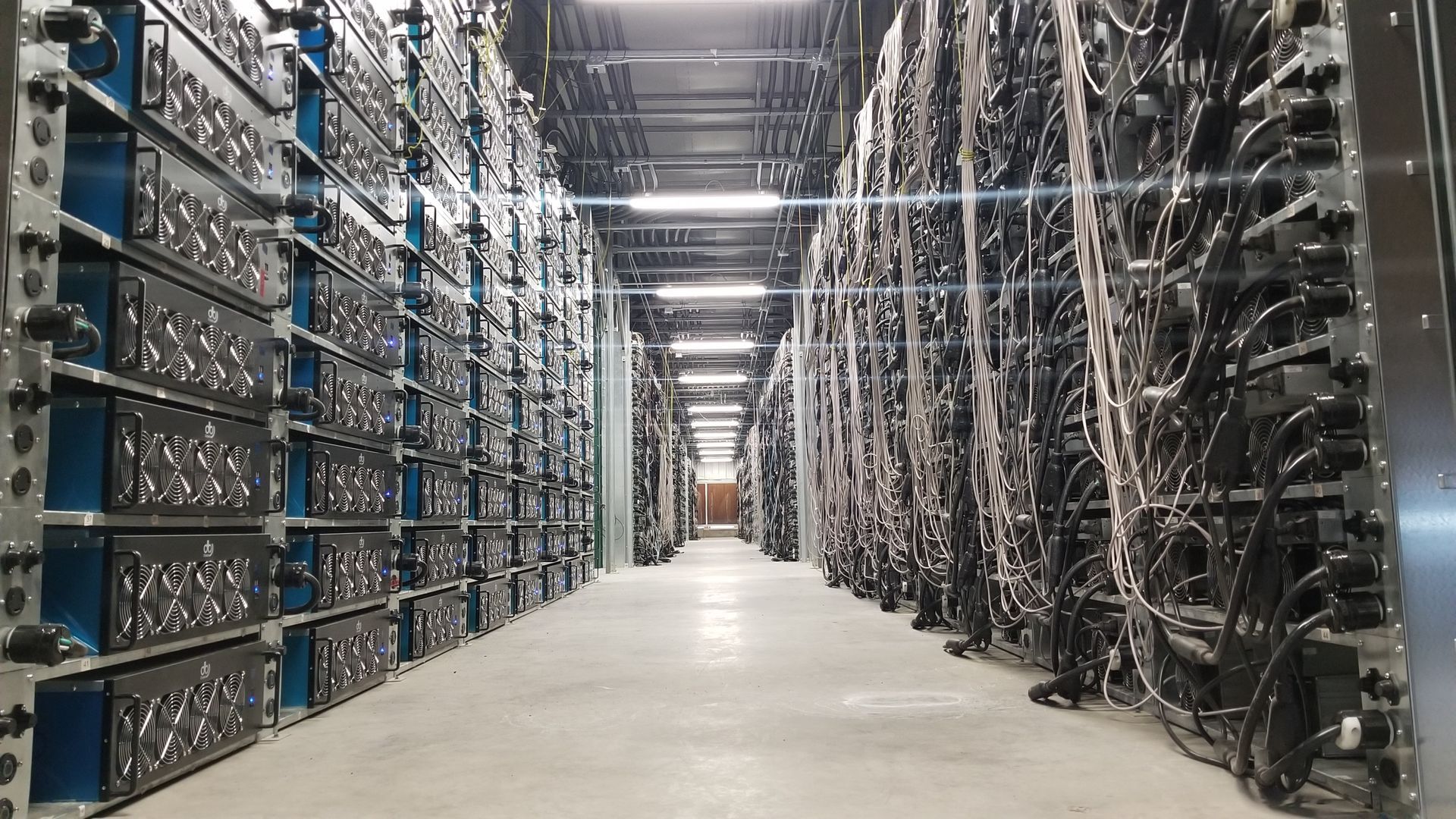 Farma kryptowalut