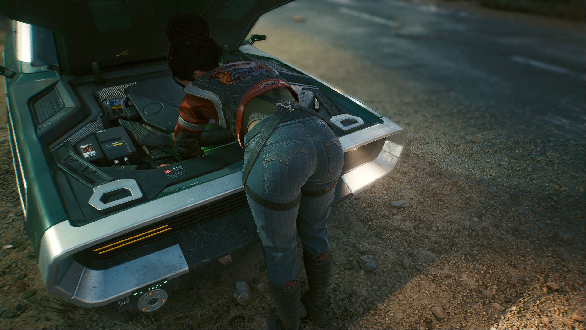Cyberpunk 2077- Panam