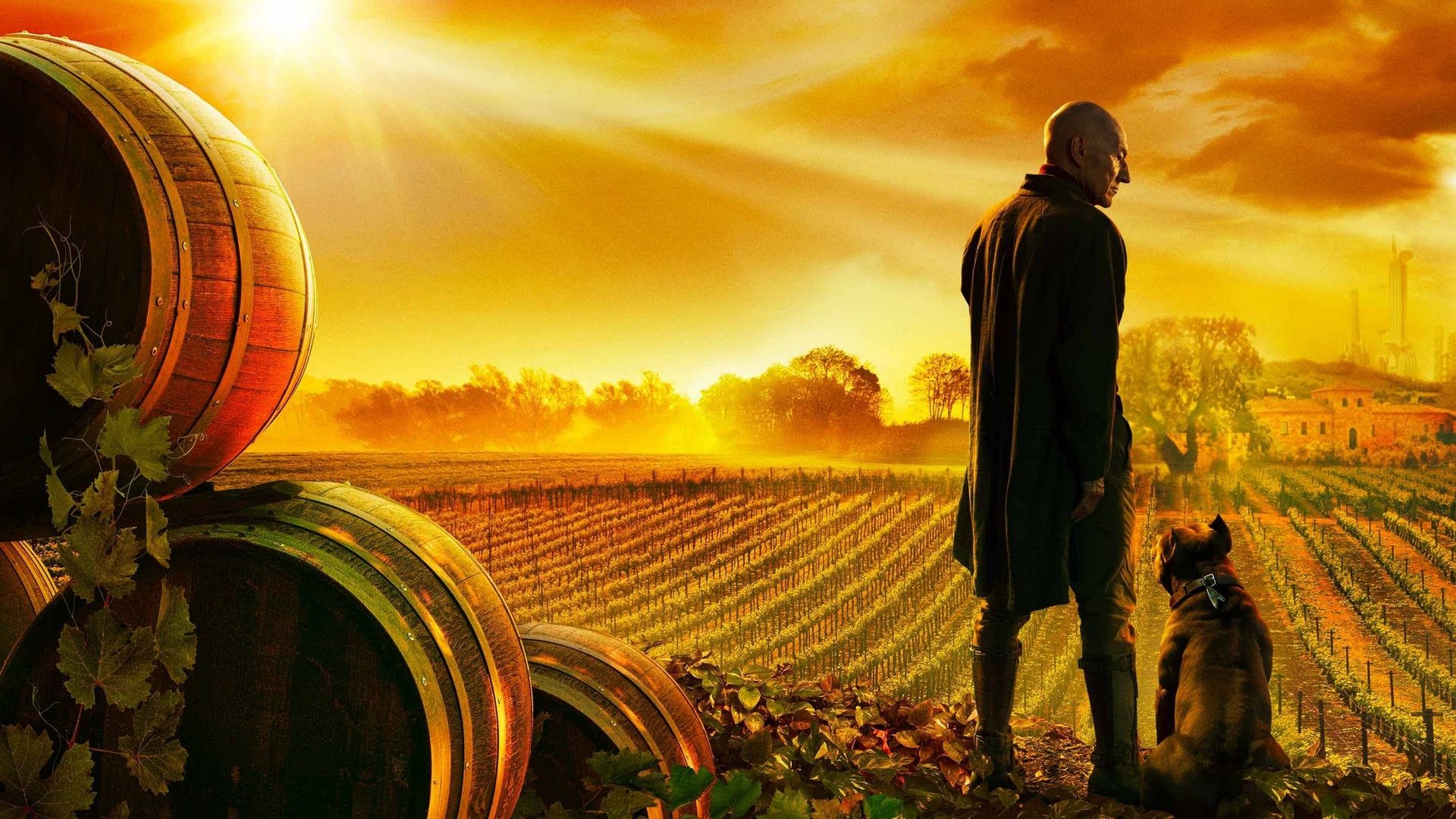 TOP najlepszych seriali na Amazon Prime - Star Trek Picard