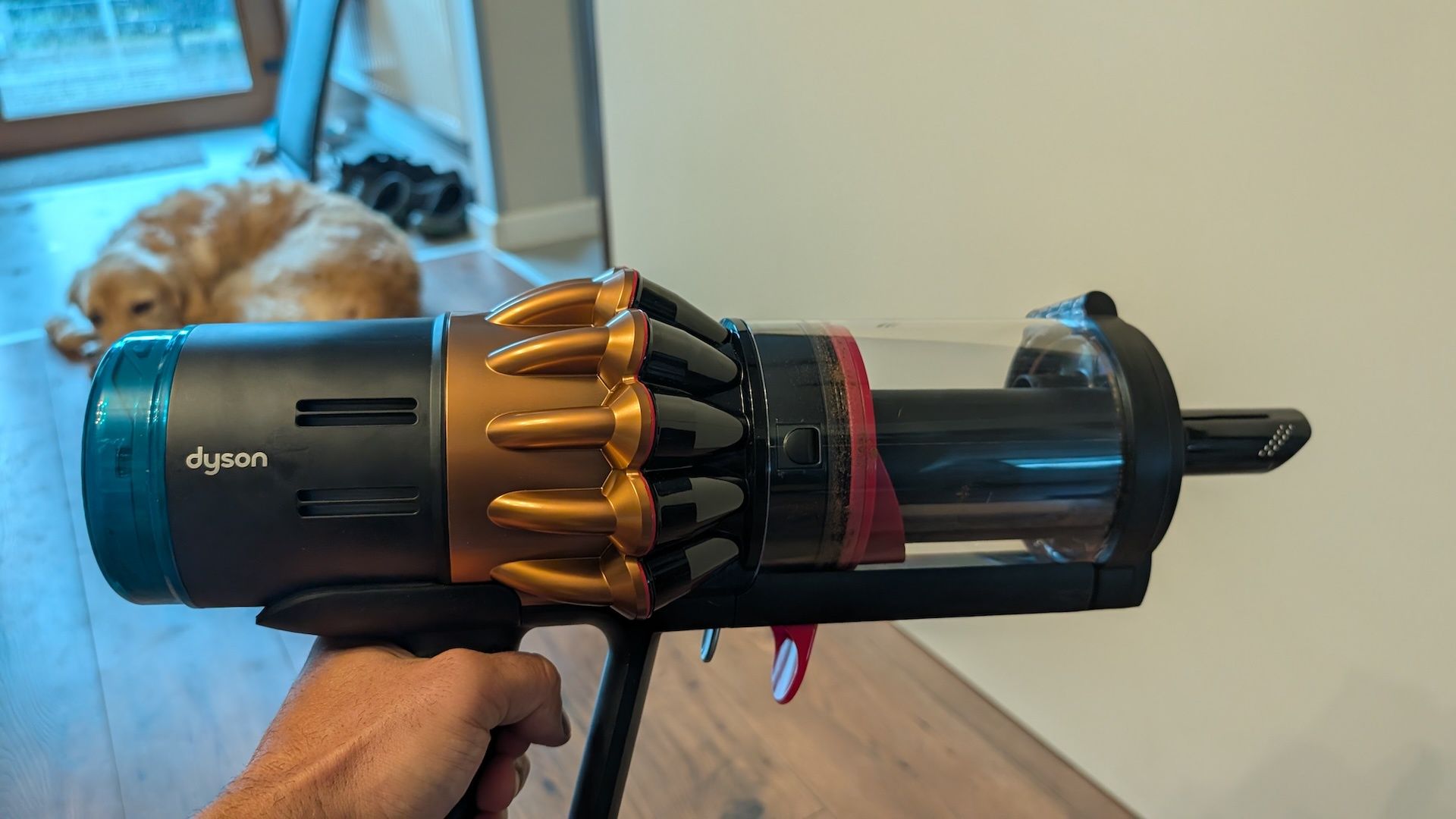 Dyson DS60 Piston Animal Submarine