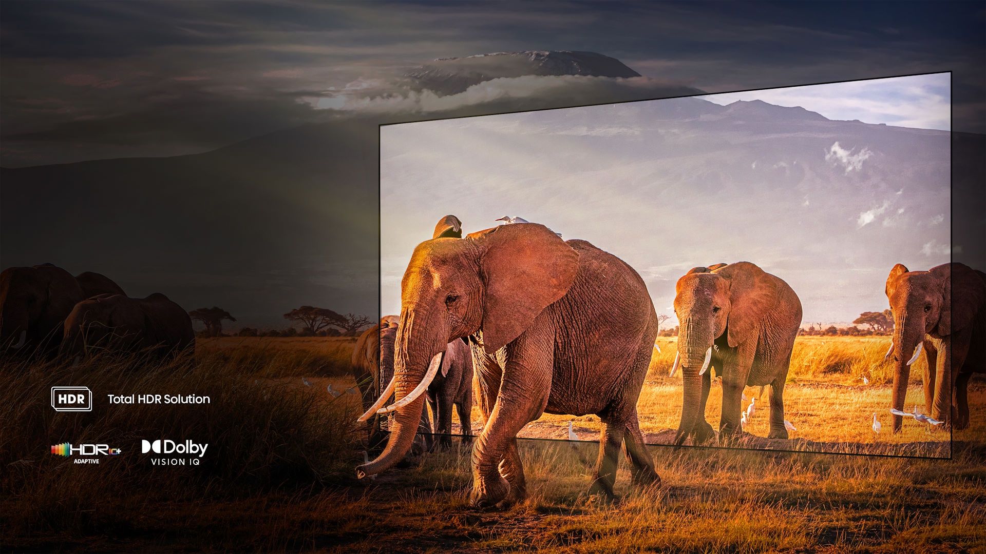 Hisense ULED 65U8KQ - HDR