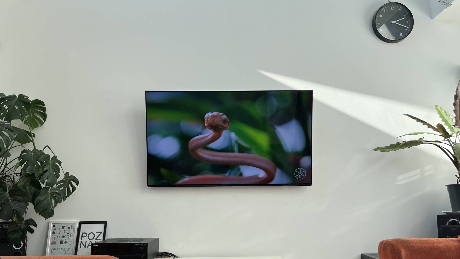 Panasonic TX-65JZ1500 - na ścianie po raz drugi