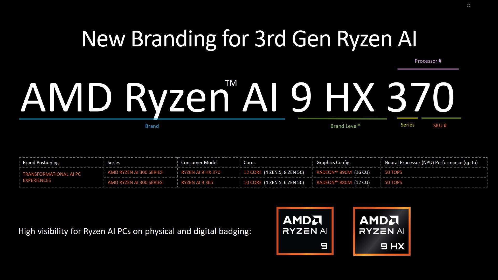 AMD Ryzen AI 300