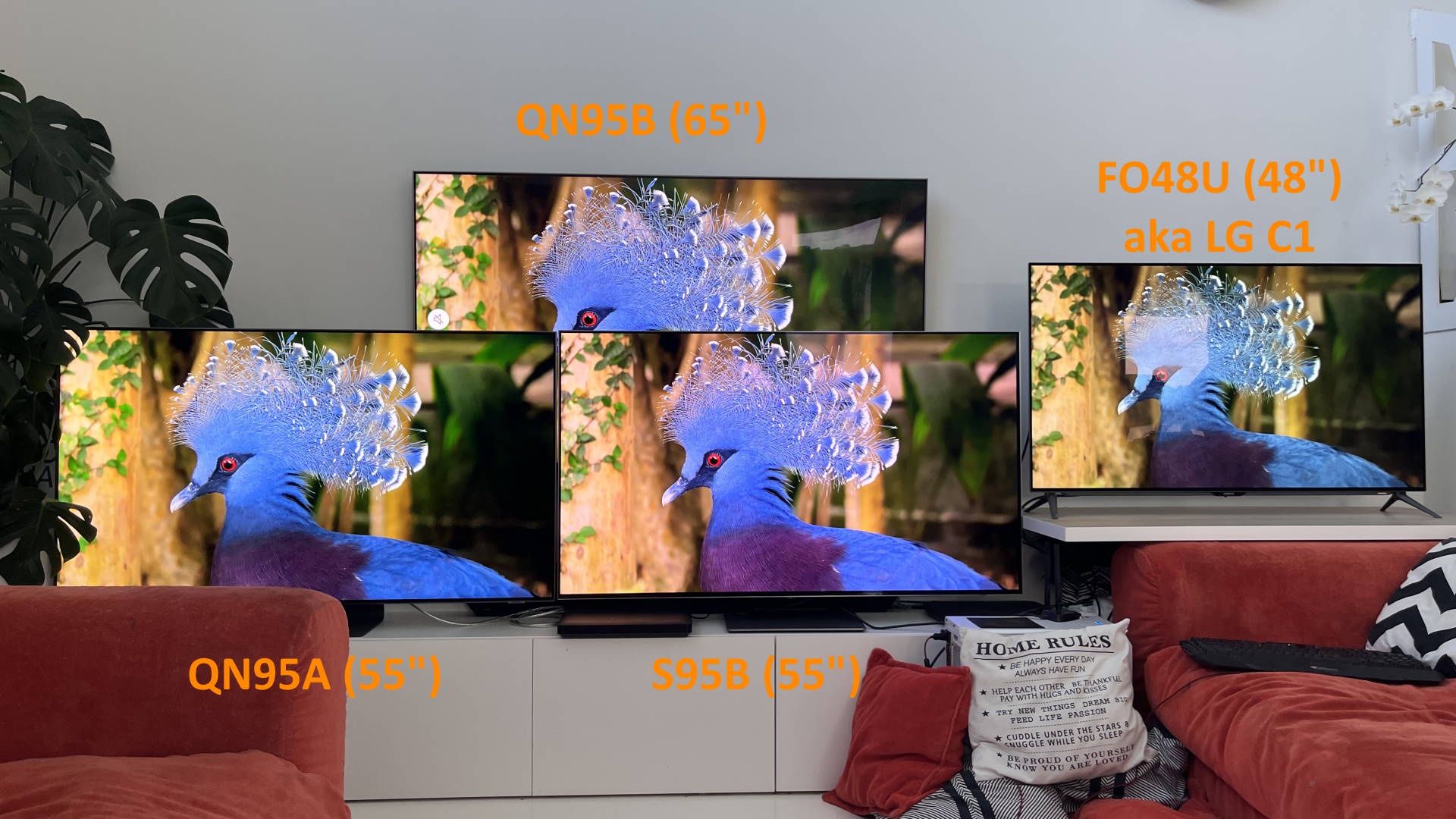 Samsung S95B - 55 cali - porównanie jakości obrazu
