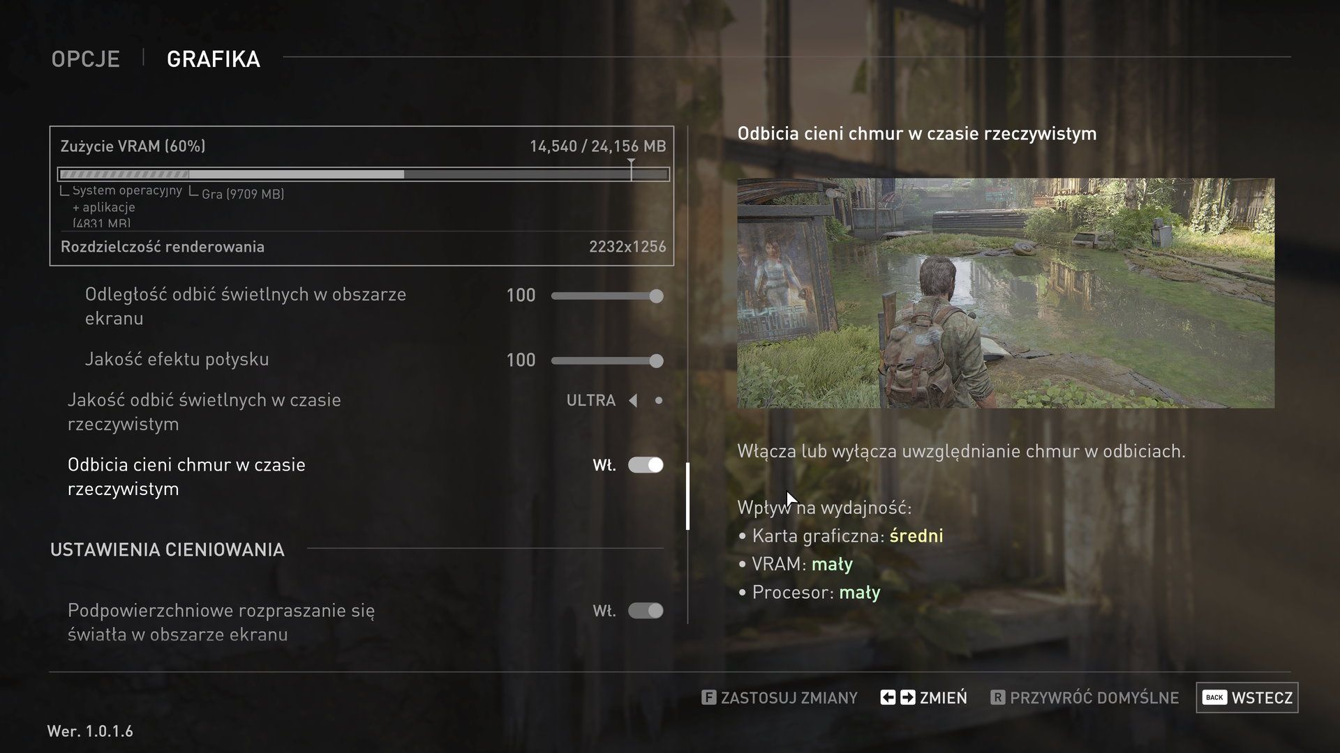 The Last of Us (PC) - ustawienia 1