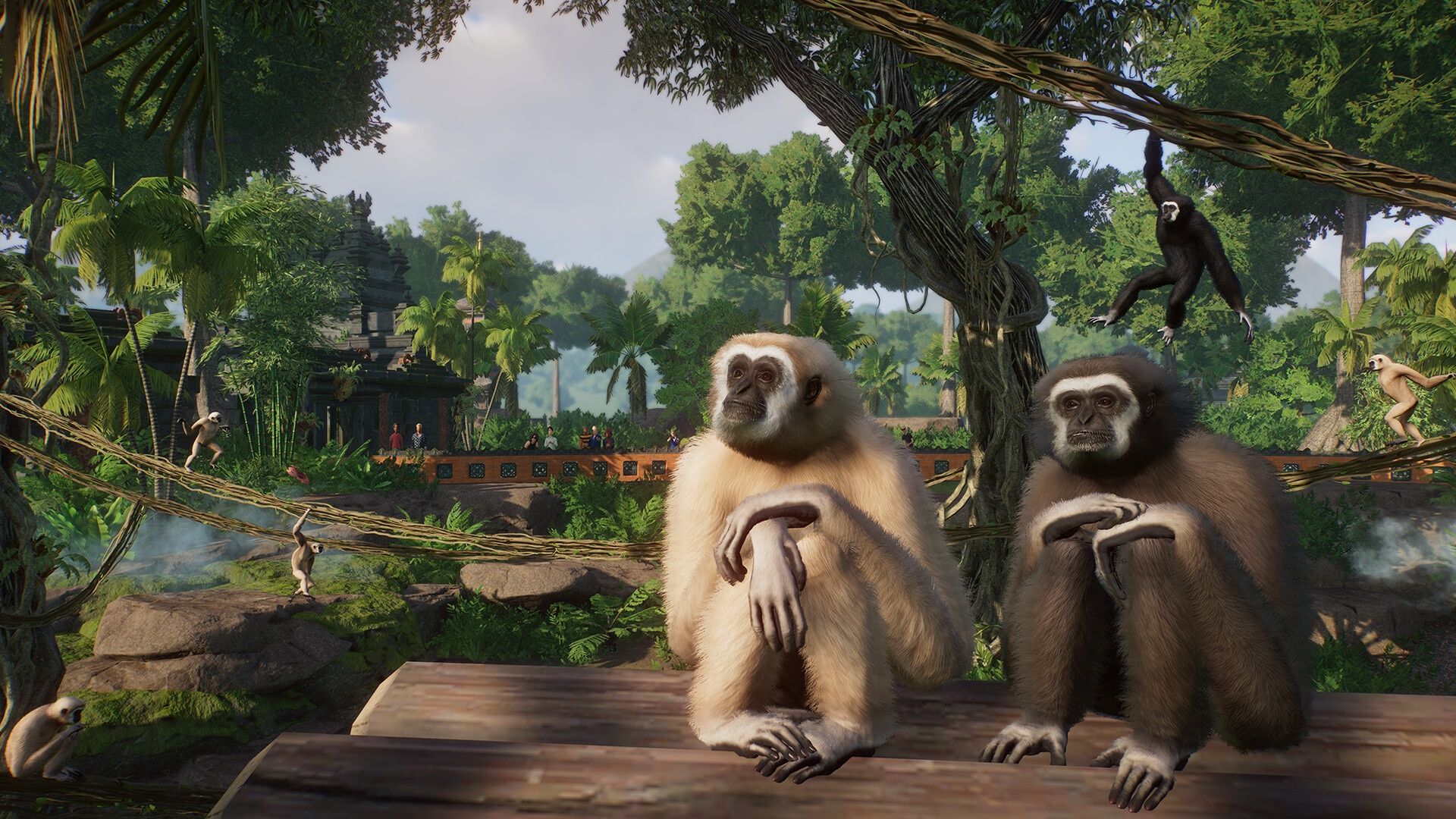 Najlepsze strategie - Planet Zoo