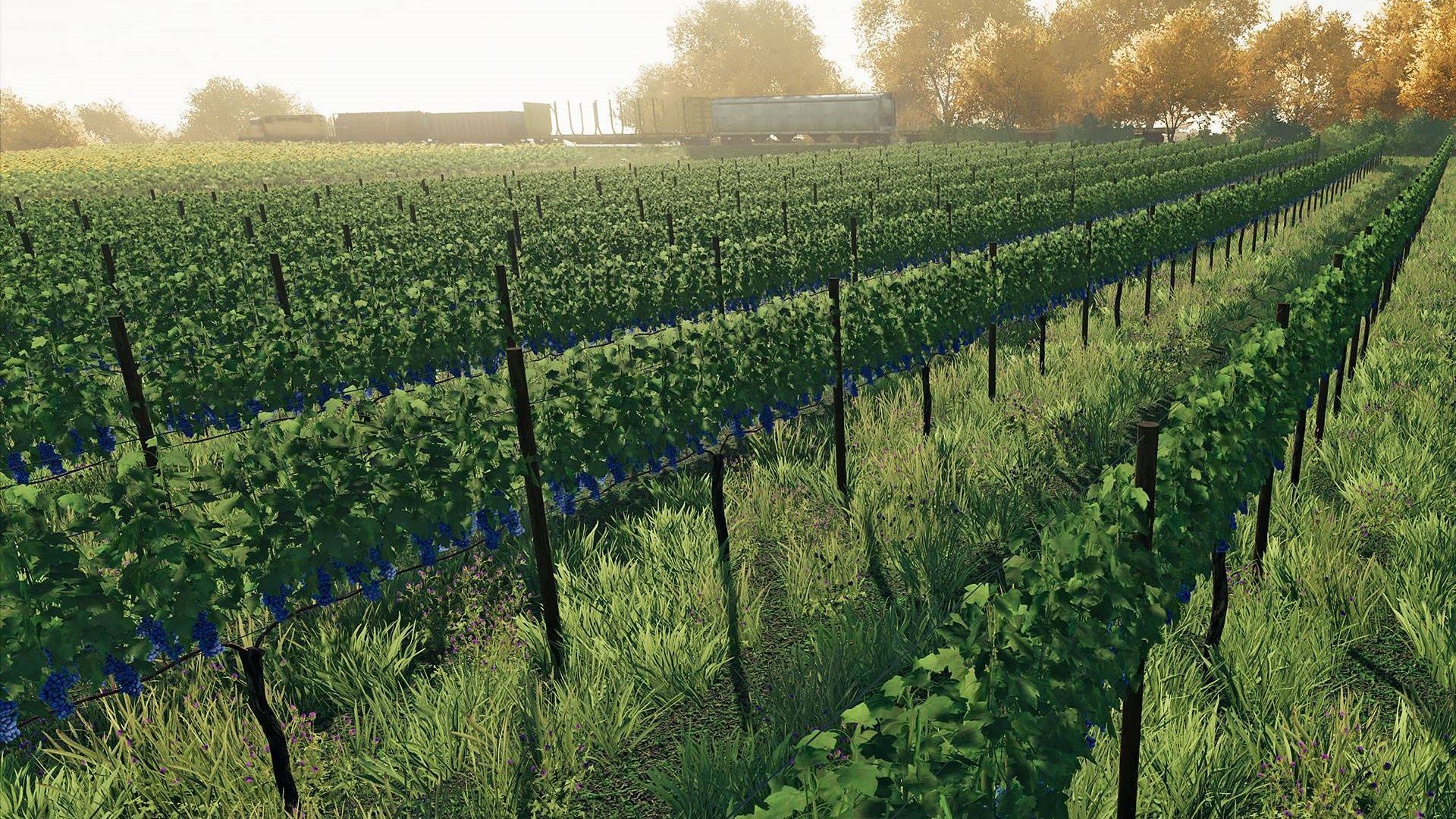 Farming Simulator 22 - winogrono