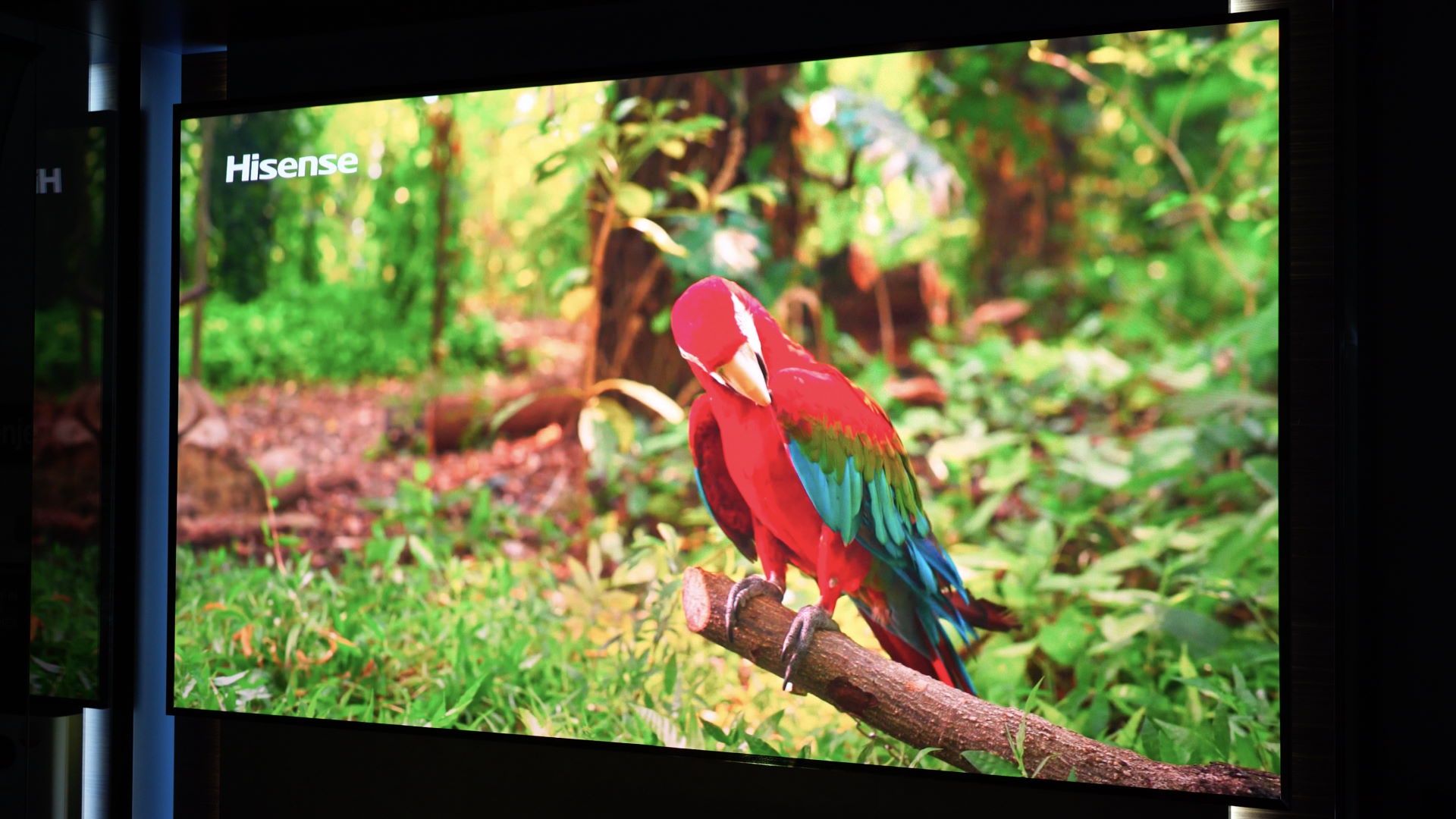 Hisense Laser TV 120L9G - głebia kolorów