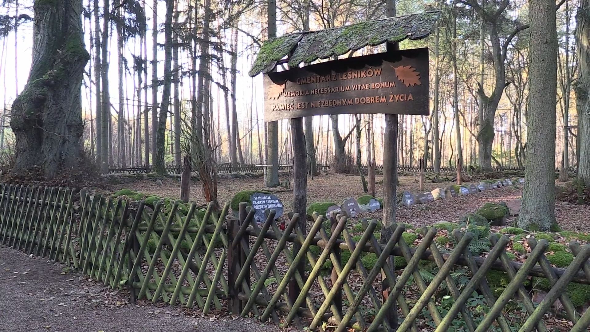 Cmentarz Leśników w Dobrzycy koło Piły. 