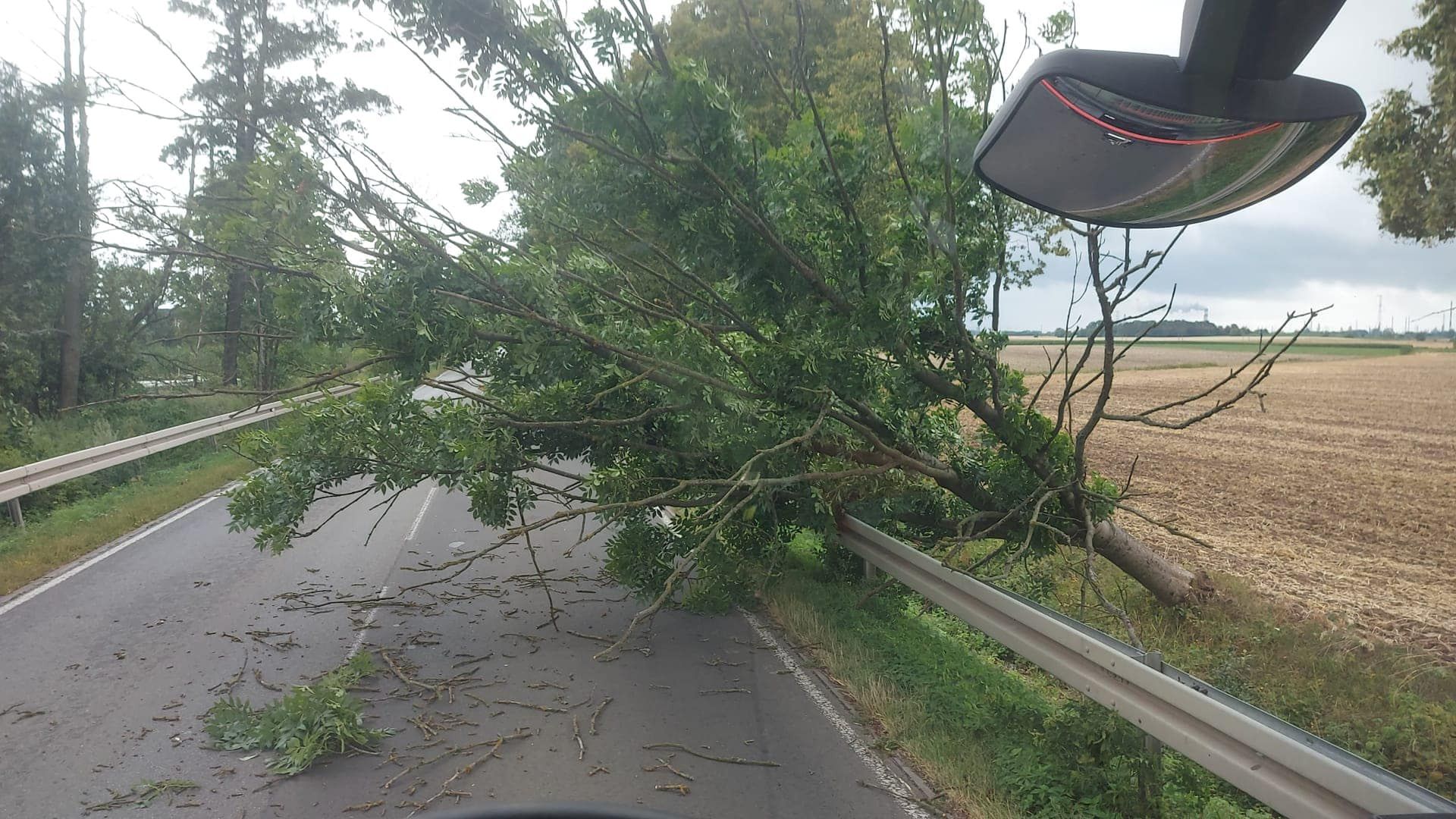 Interwencja w Machcinie