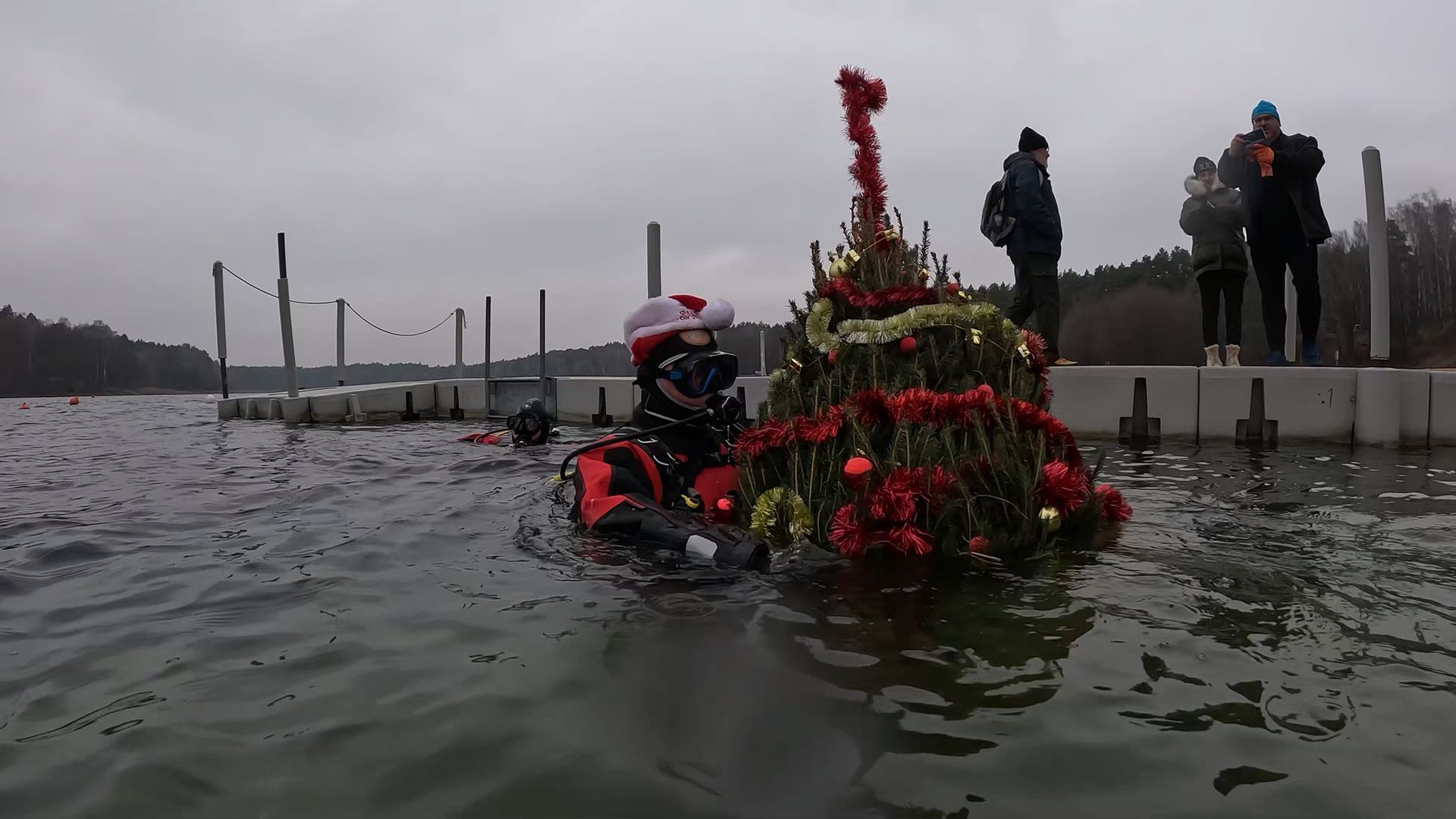 Choinka dla jesiotrów