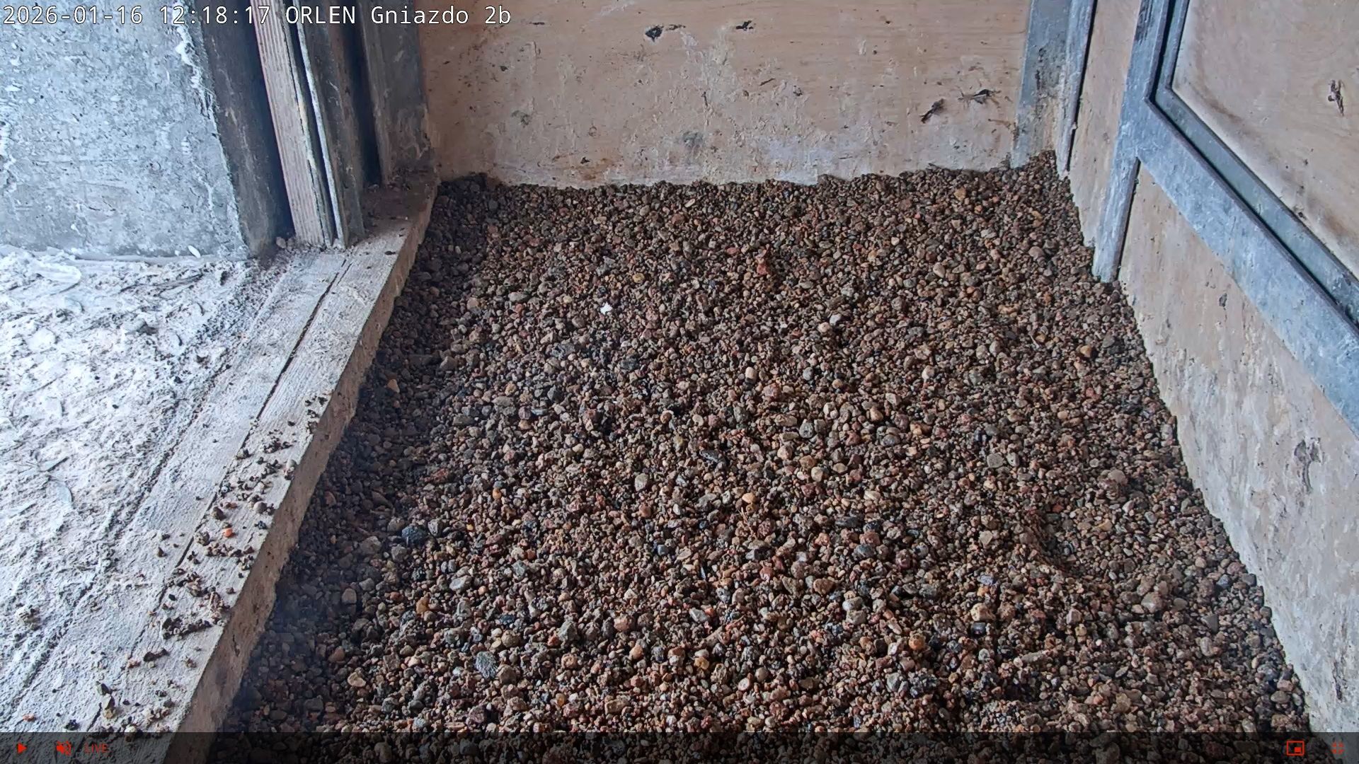 Budki lęgowe gotowe na przyjęcie lokatorów

