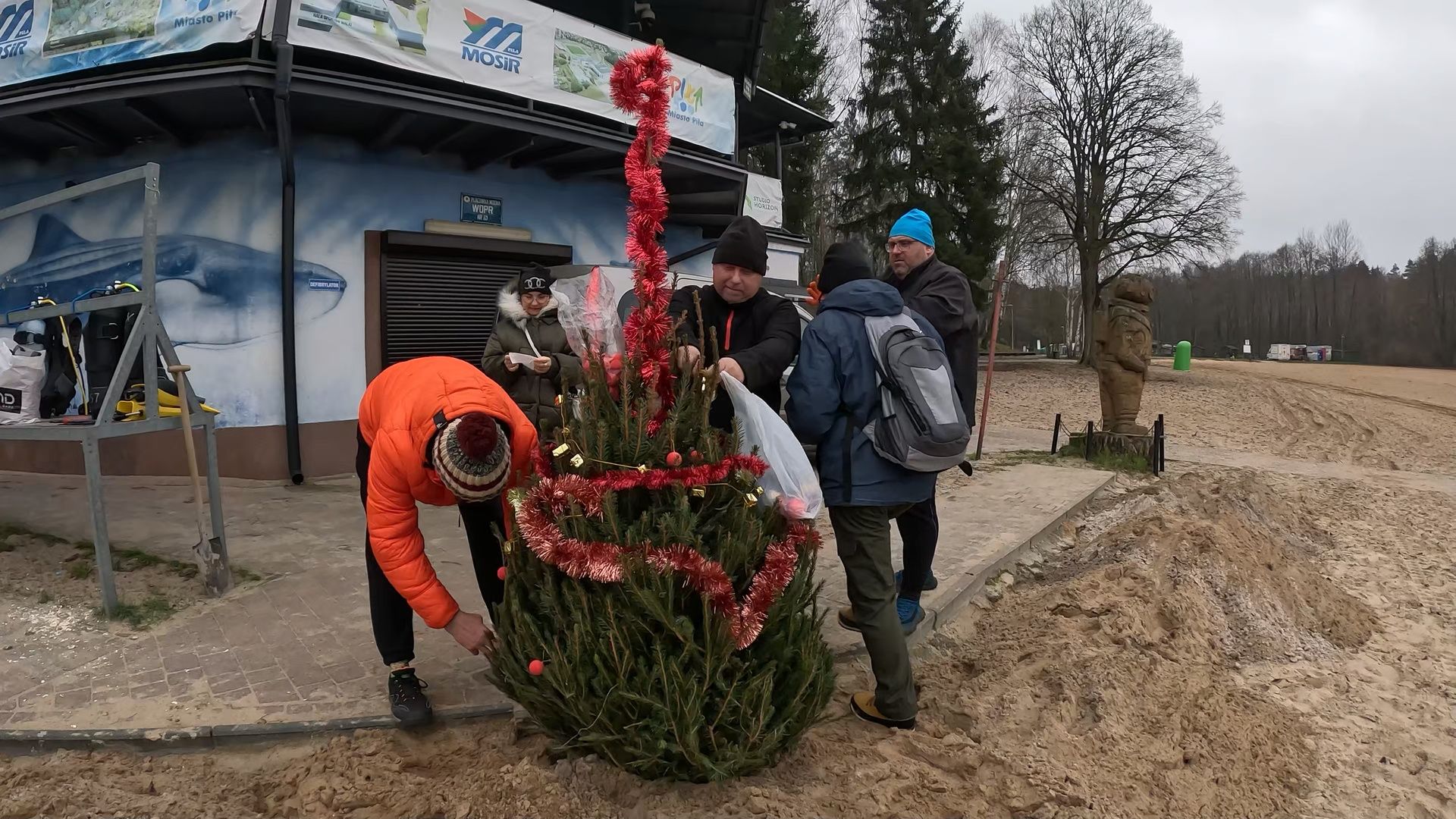 Choinka dla jesiotrów