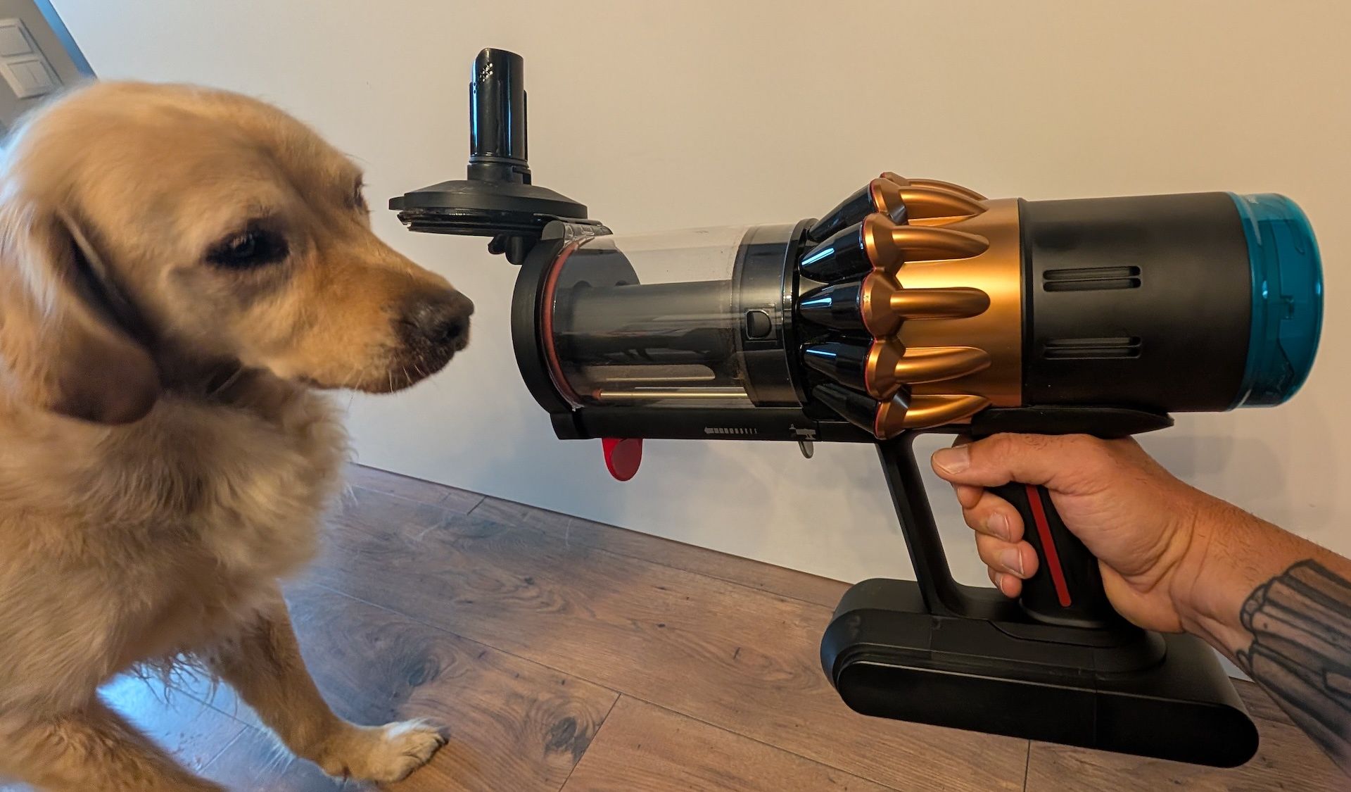 Dyson DS60 Piston Animal Submarine