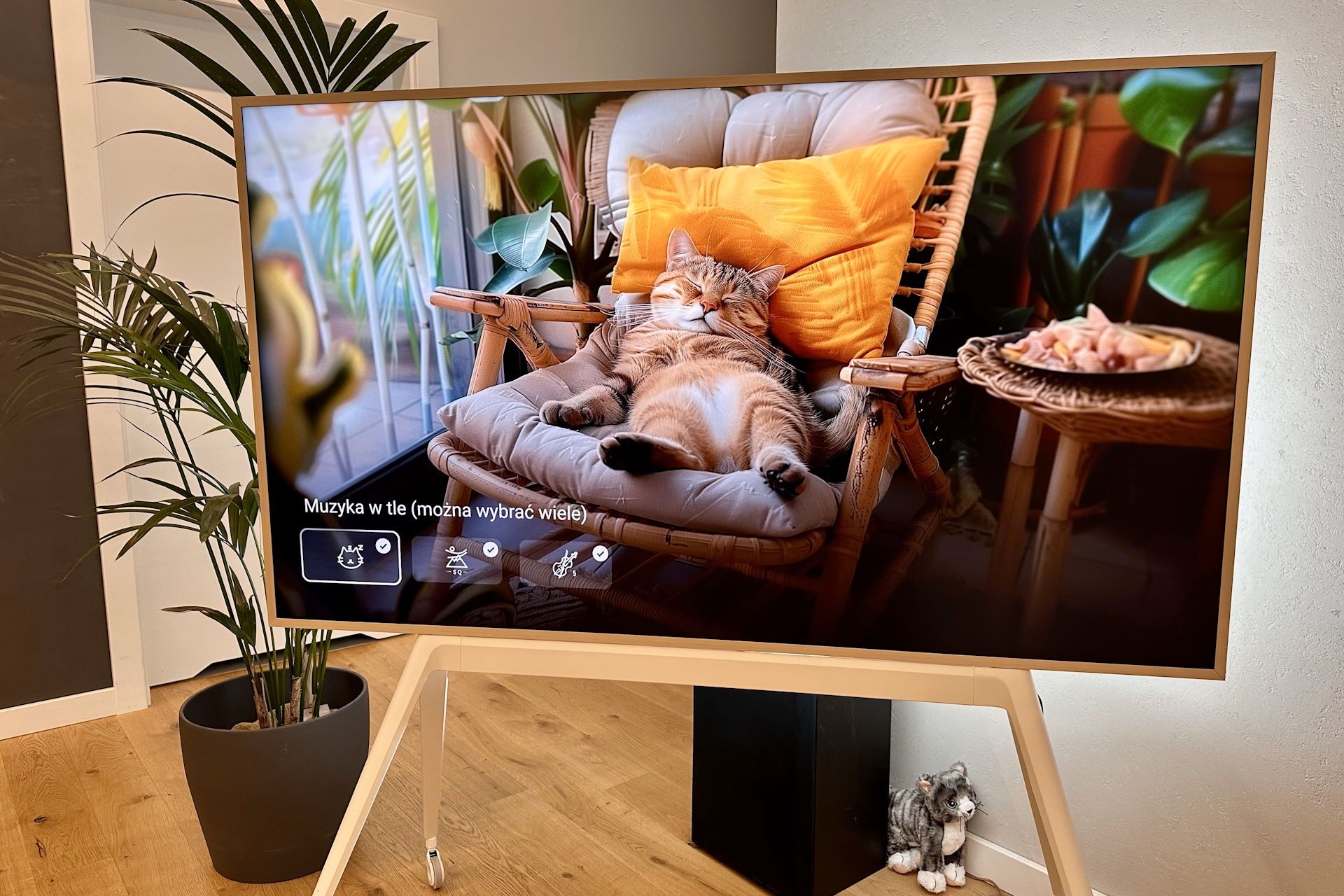 TCL NXTFrame A300 Pro - animacja z kotkiem :3