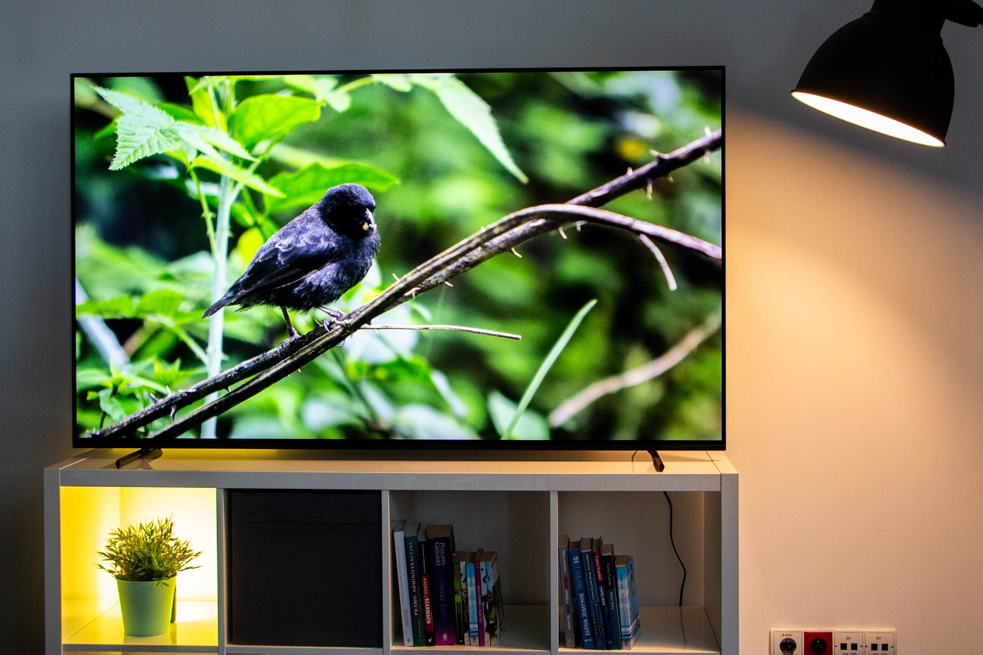 Sony BRAVIA XR-65A80L - na wprost