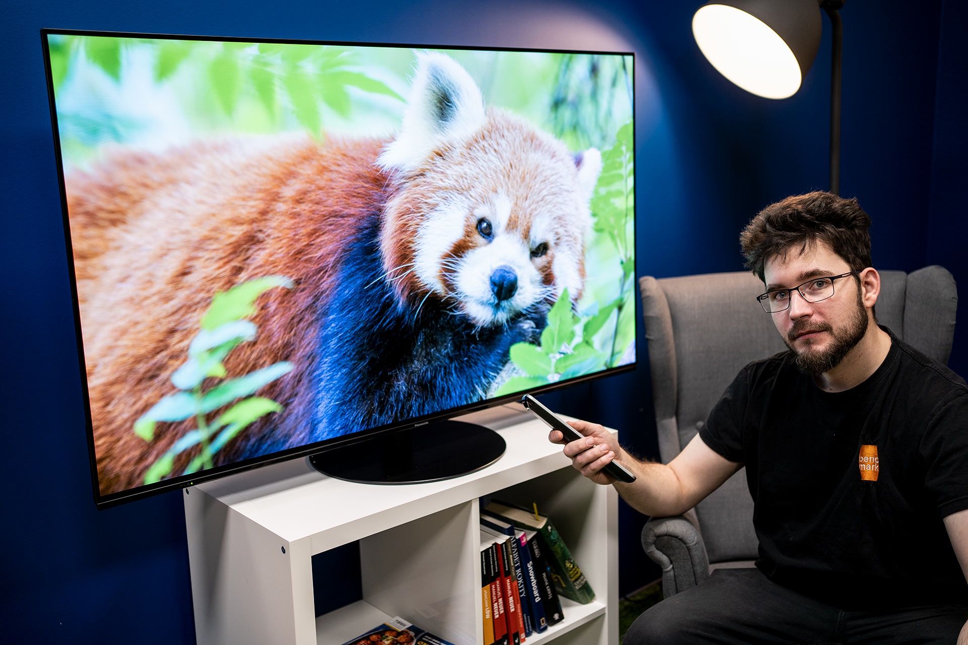 Panasonic TX-55LZ1000E -