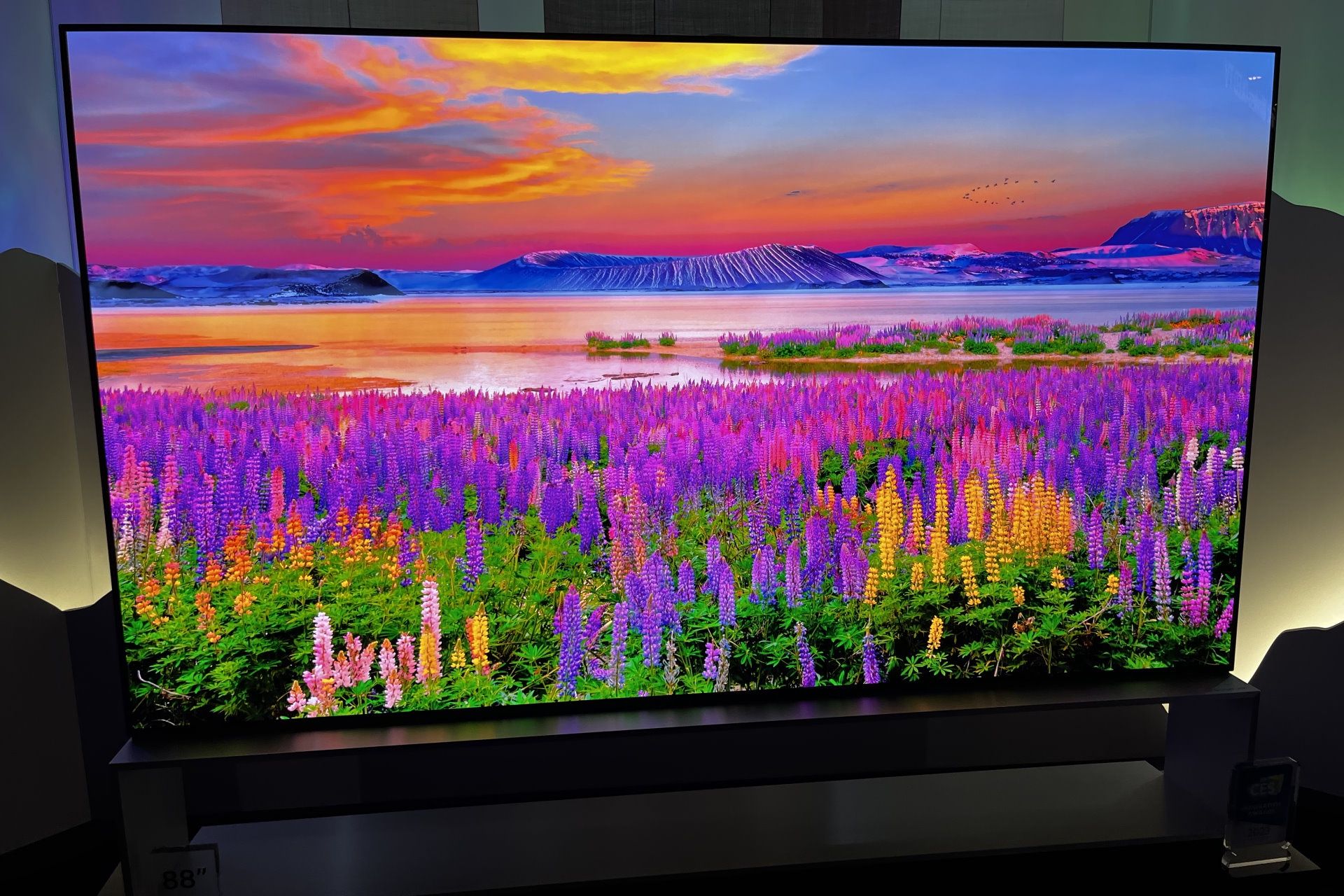LG OLED EVO