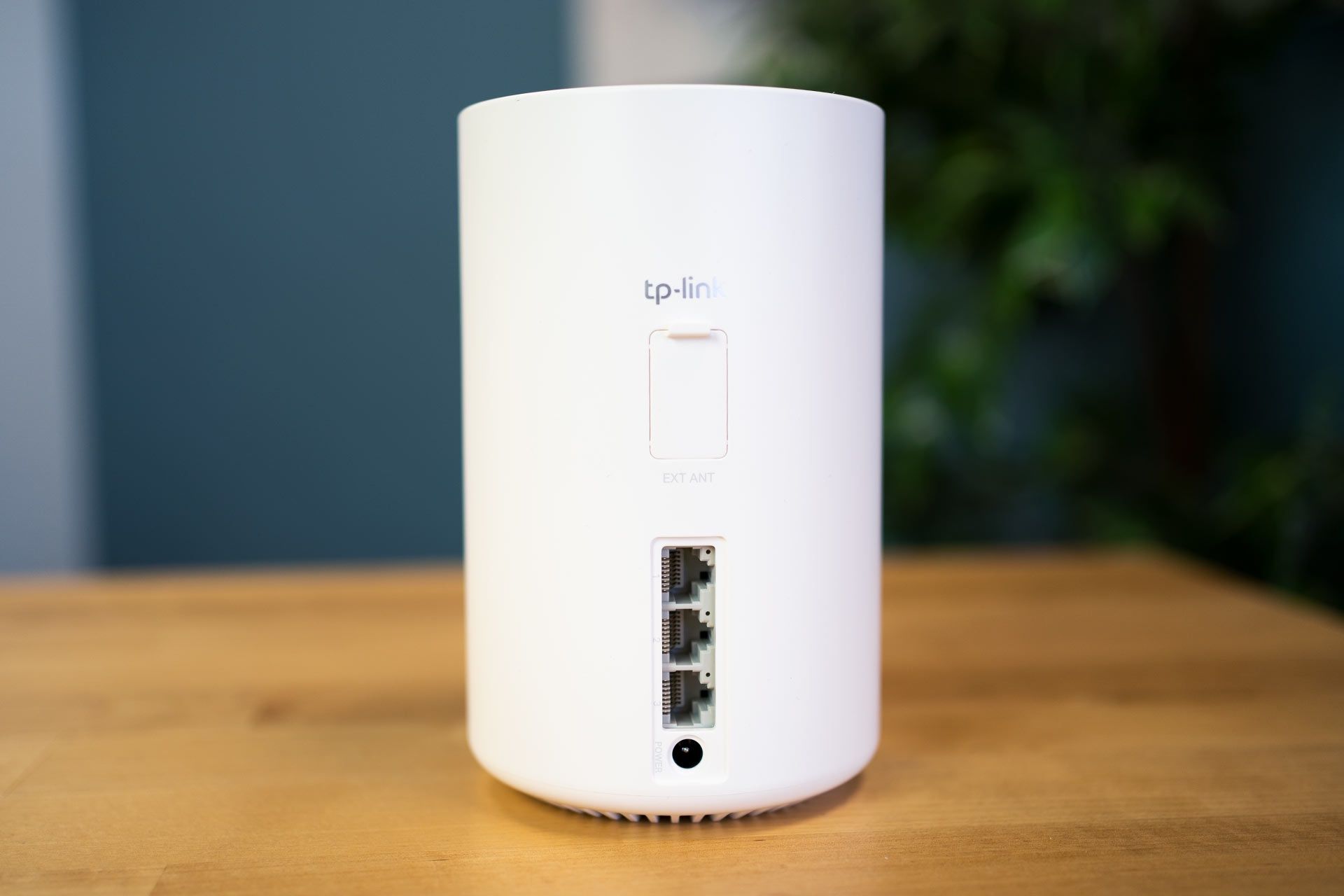 TP-Link Deco X20 - porty