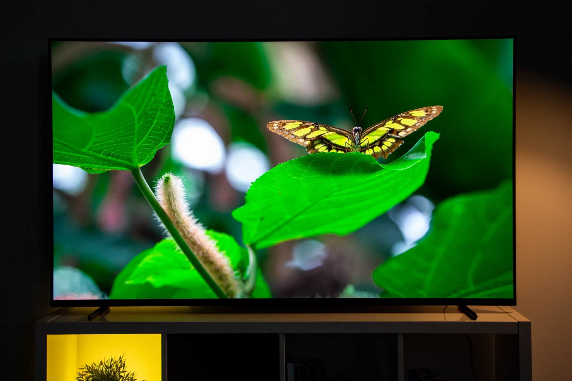 Sony XR-65A80L
