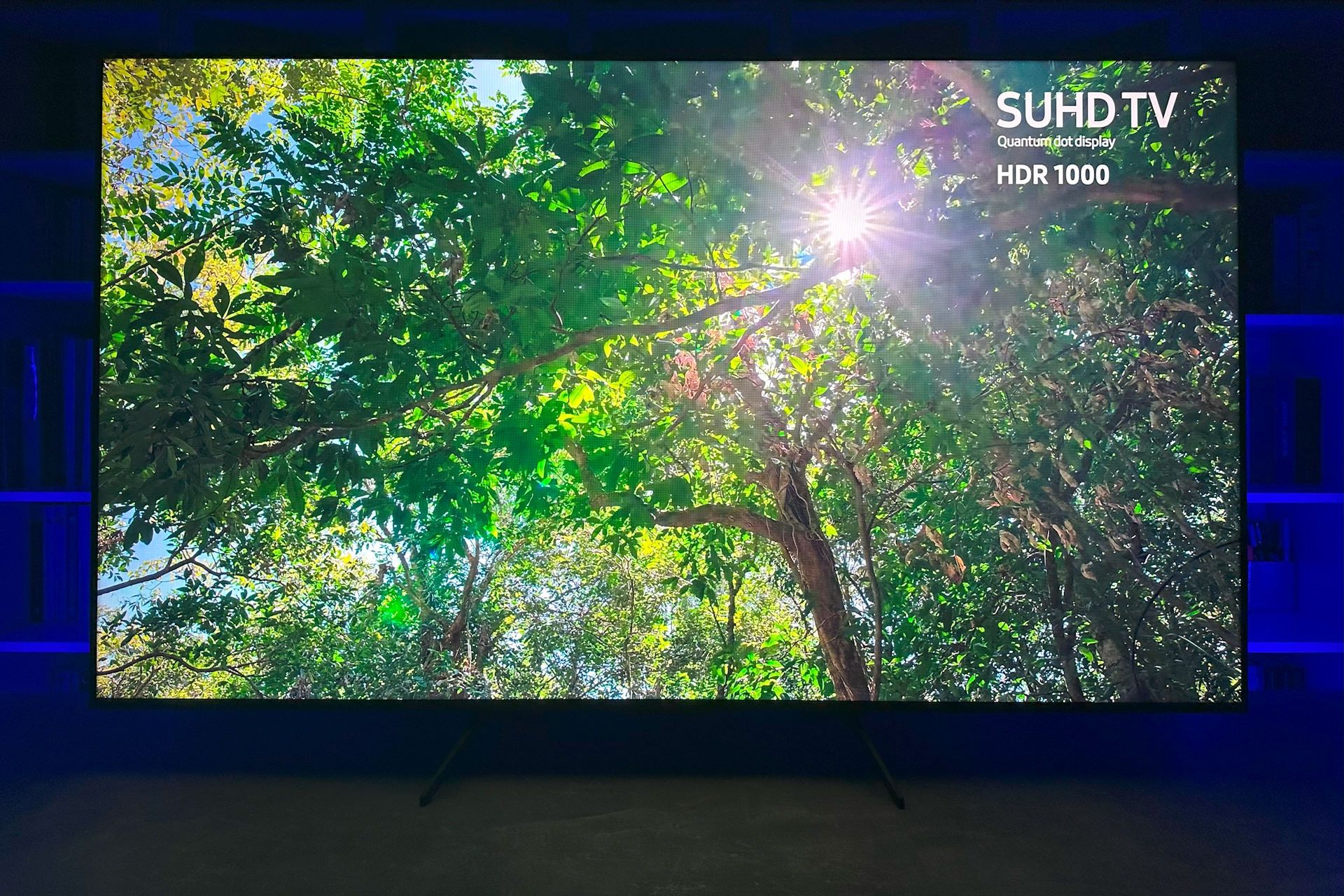 tcl 65c655