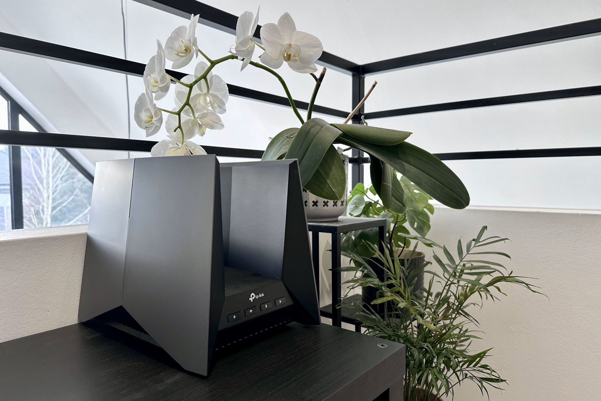 TP-Link Archer GE800 - w zieleni