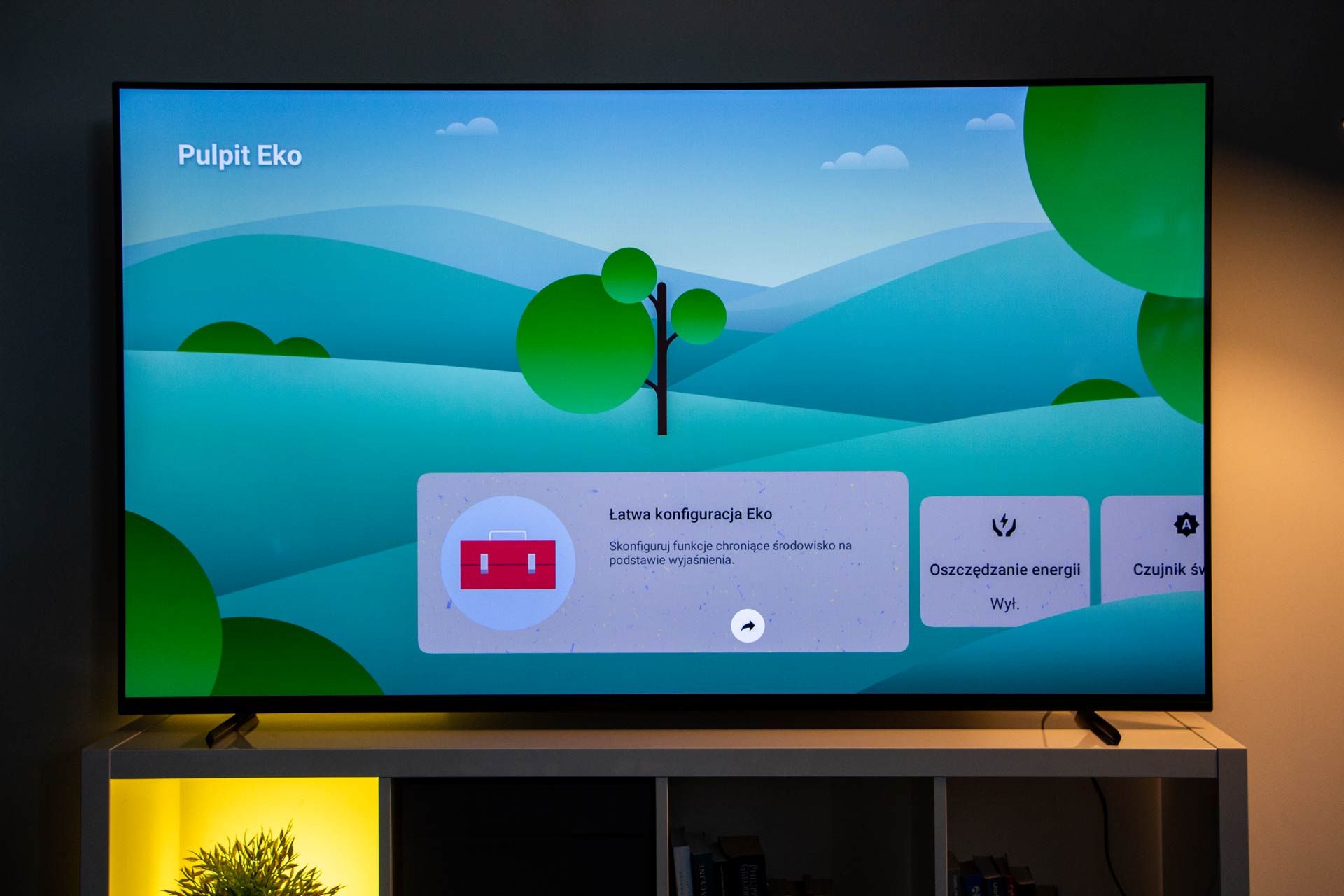 Sony BRAVIA XR-65A80L - panel eko