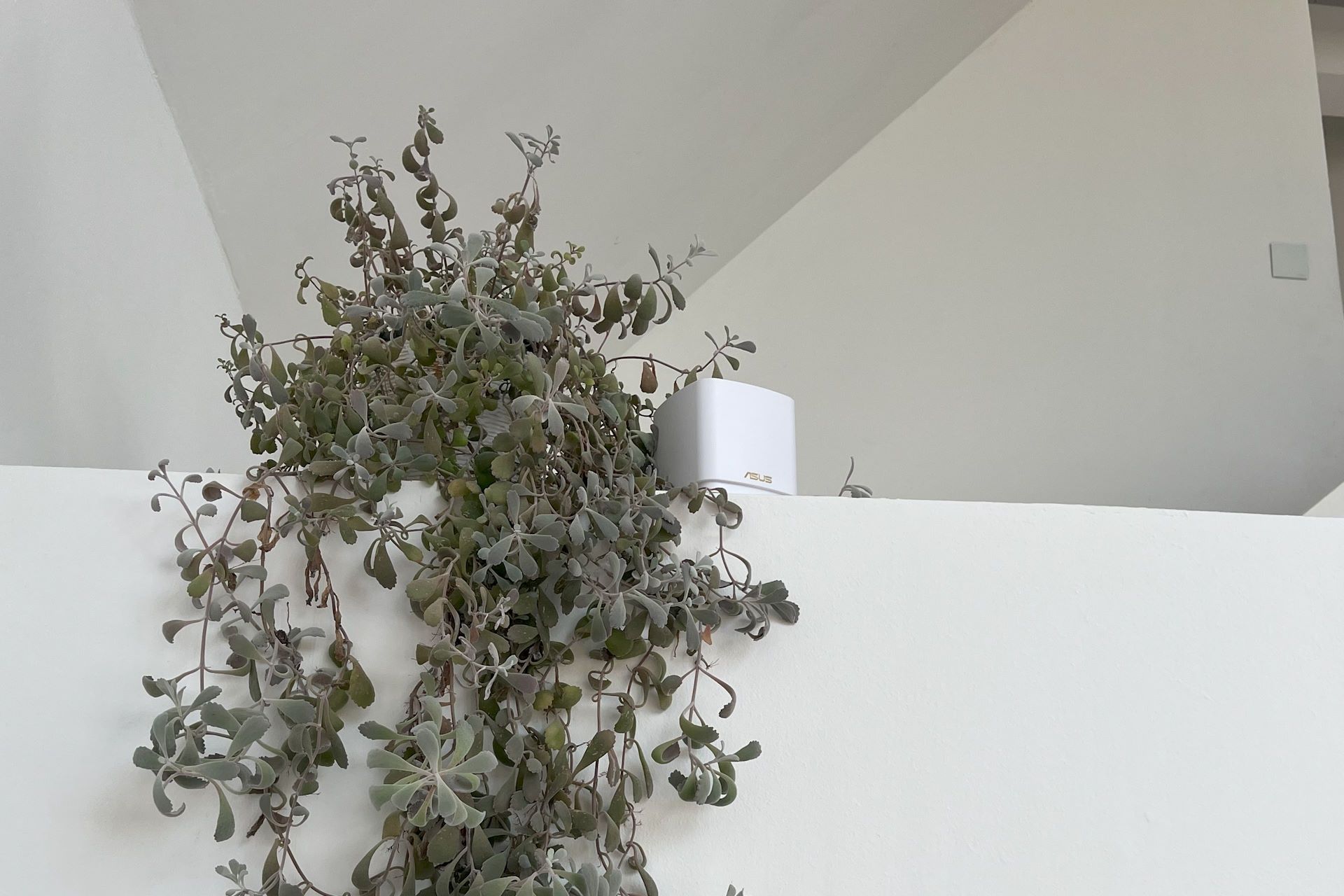 ASUS ZenWiFi XD5 - wysoko