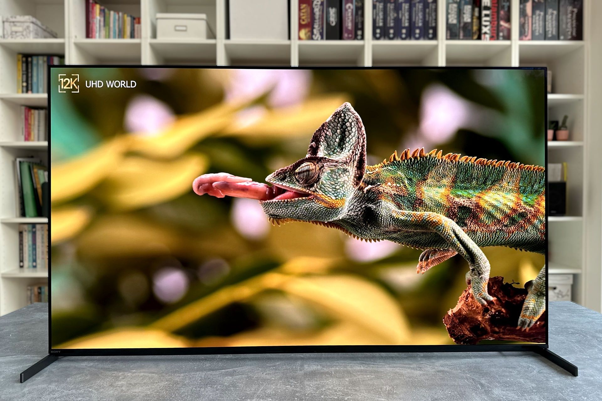Sony Bravia XR-55A95L - obraz od przodu